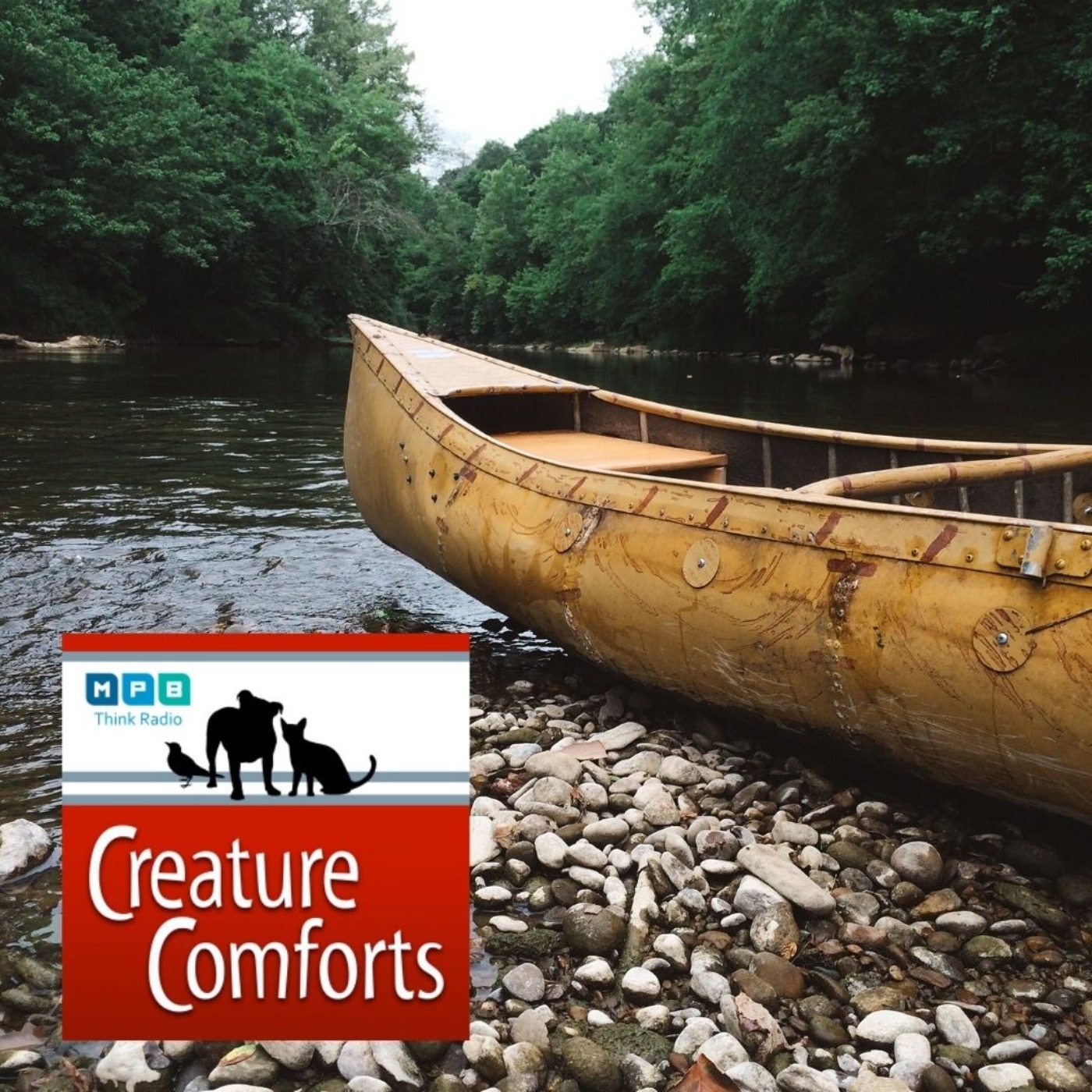Creature Comforts | Canoeing The Mississippi