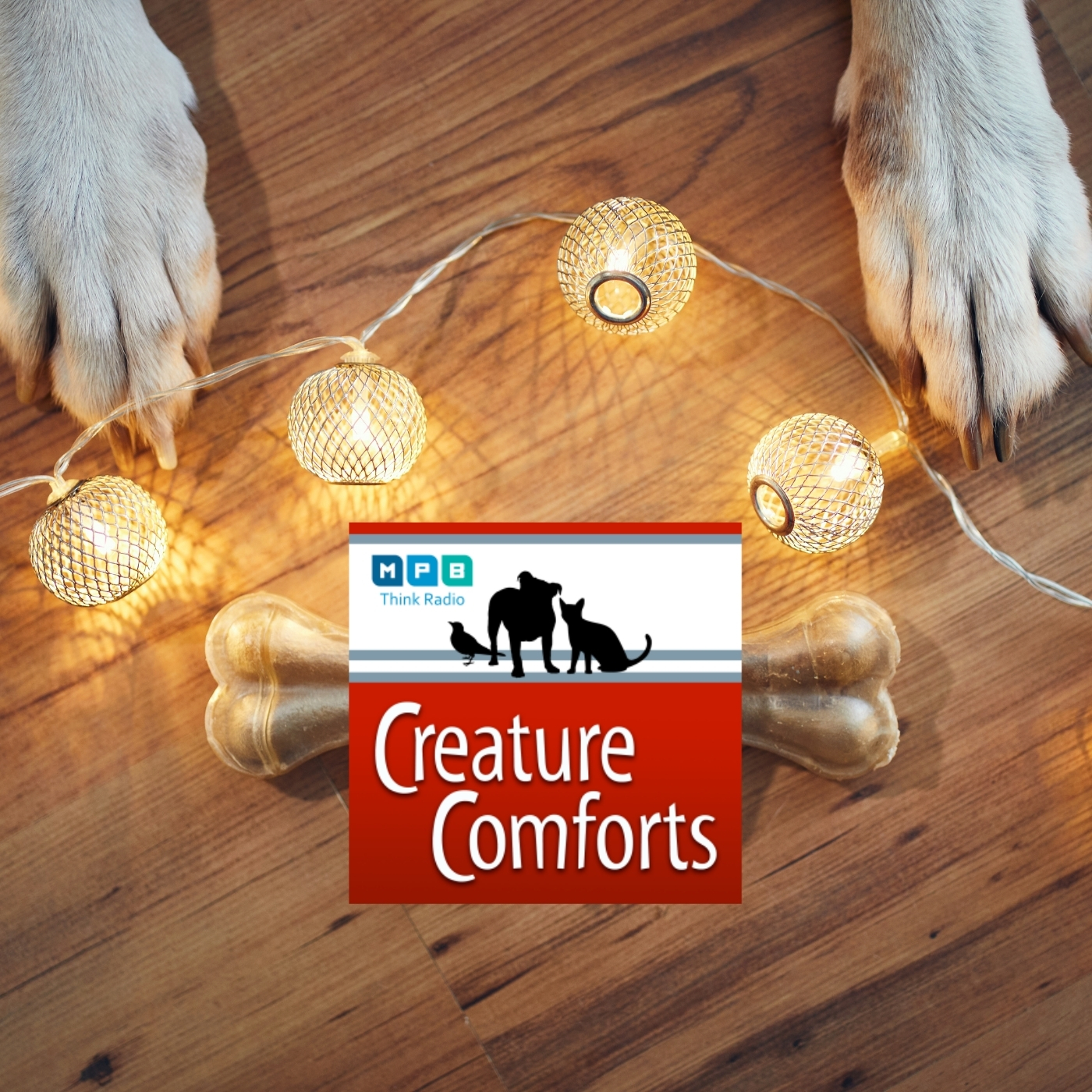 Creature Comforts | December Pet Day