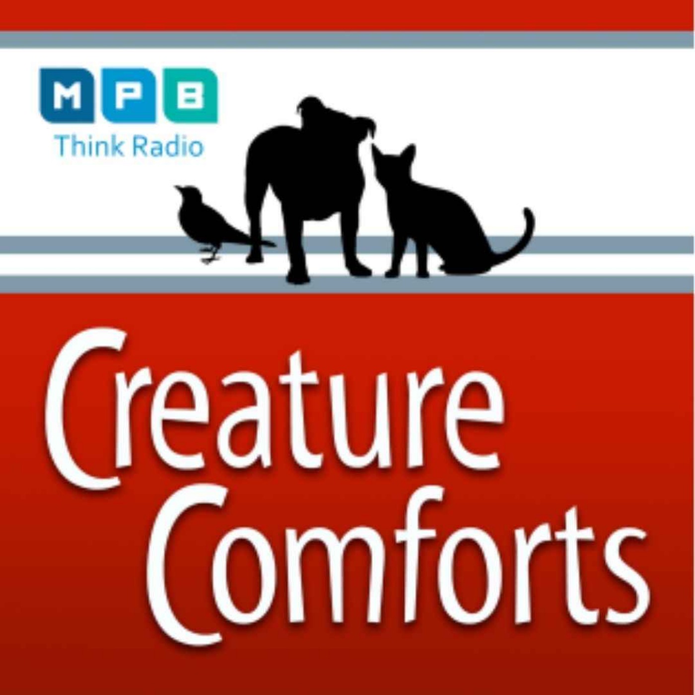 Creature Comforts