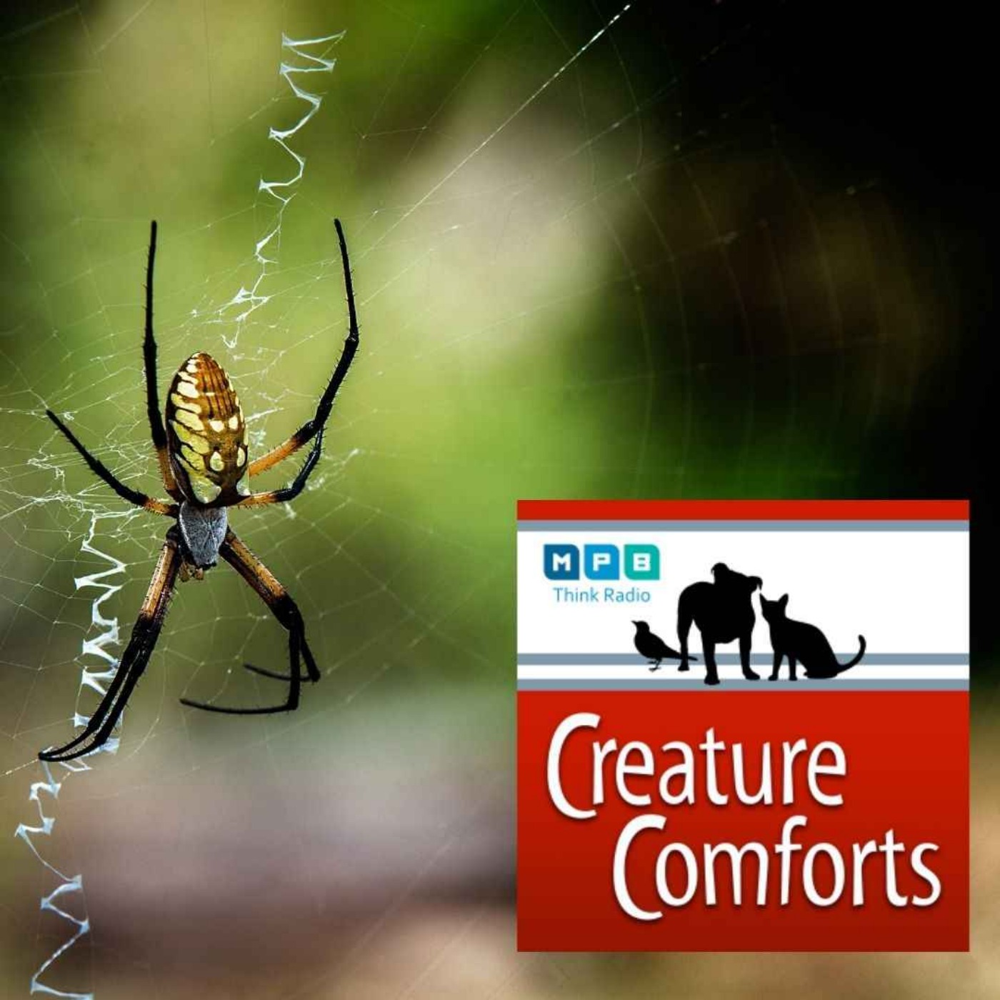 Creature Comforts | Bad Nature