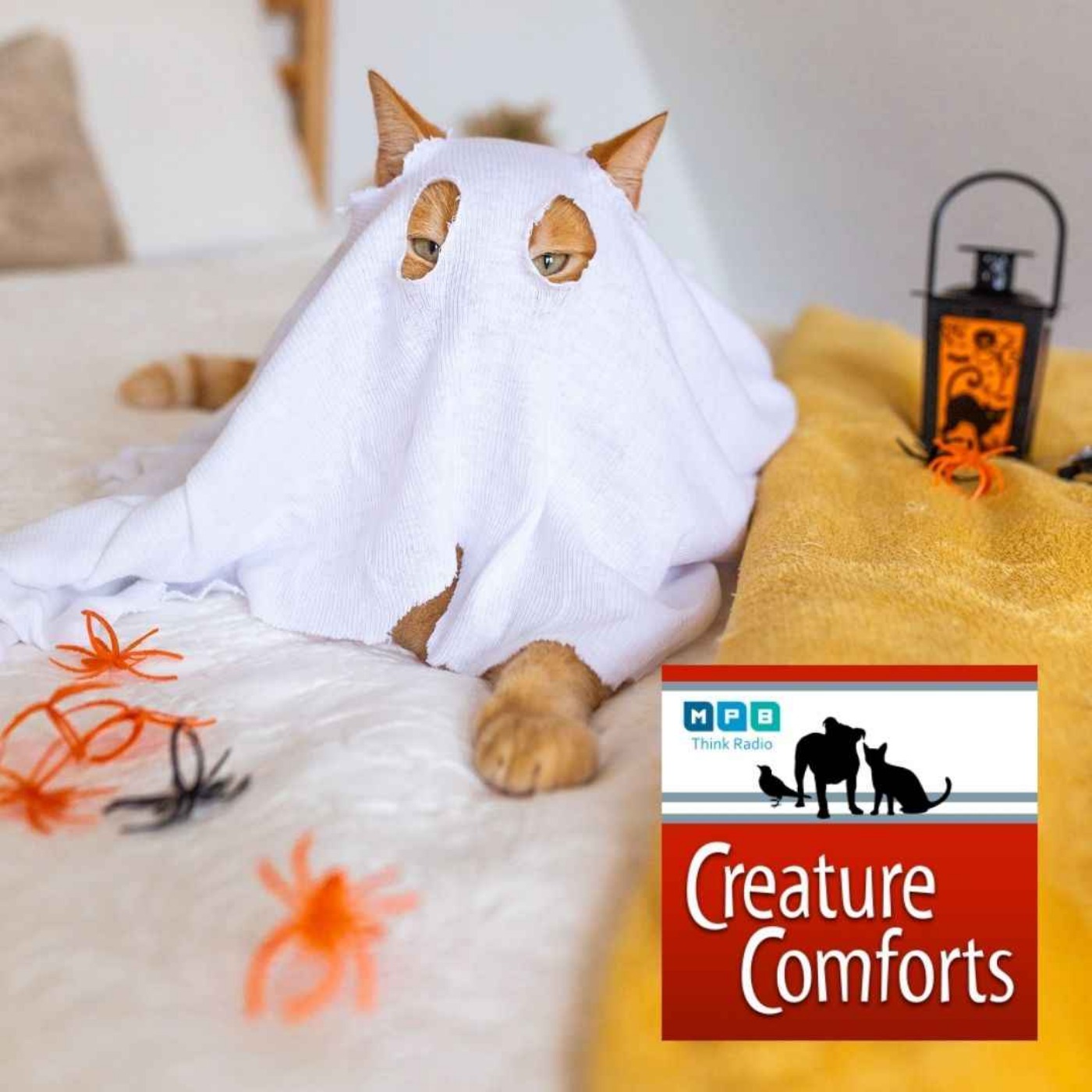 Creature Comforts | In The Dark
