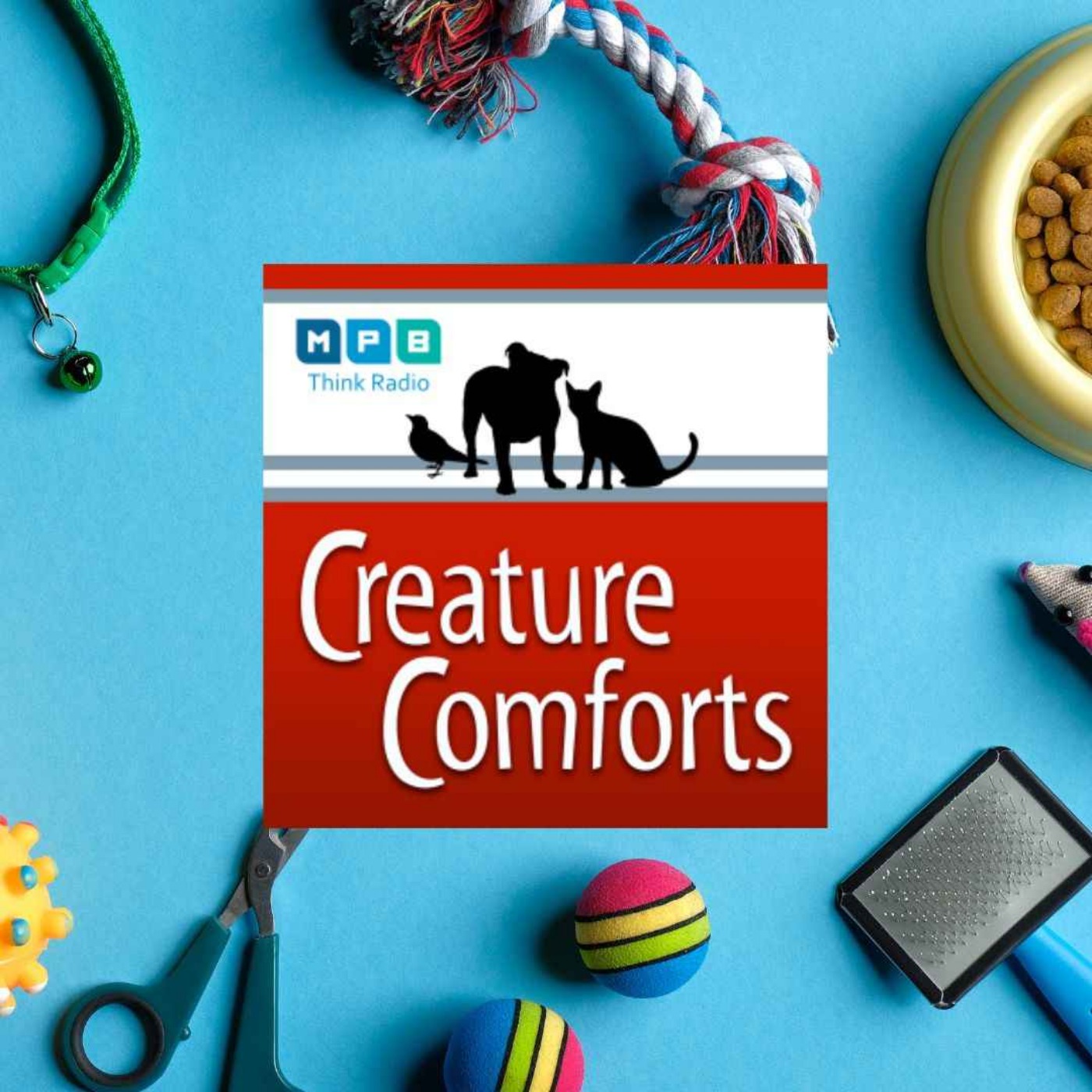 Creature Comforts | Pet Day - June 2022