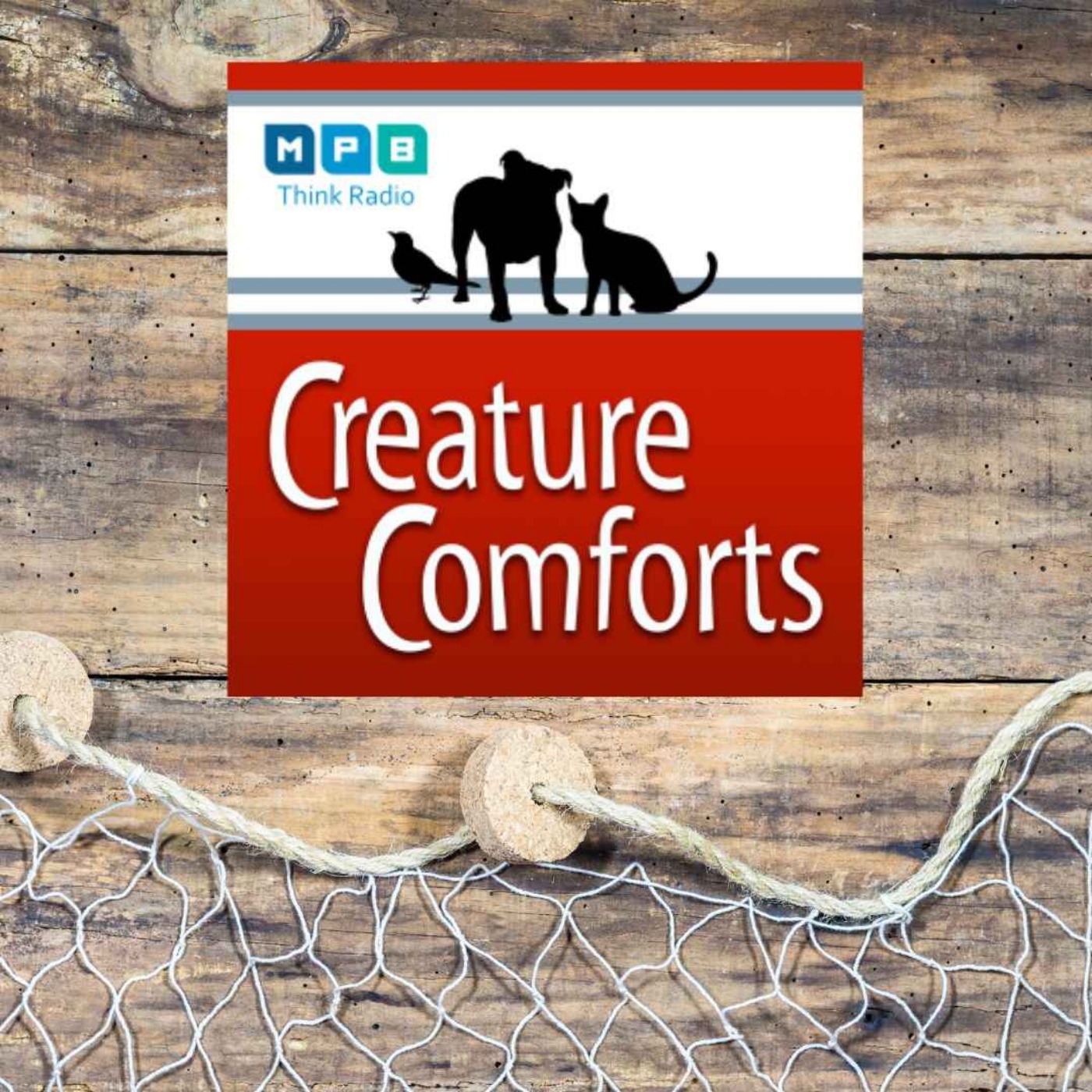 cover art for Creature Comforts | Summer Fishing & Birding