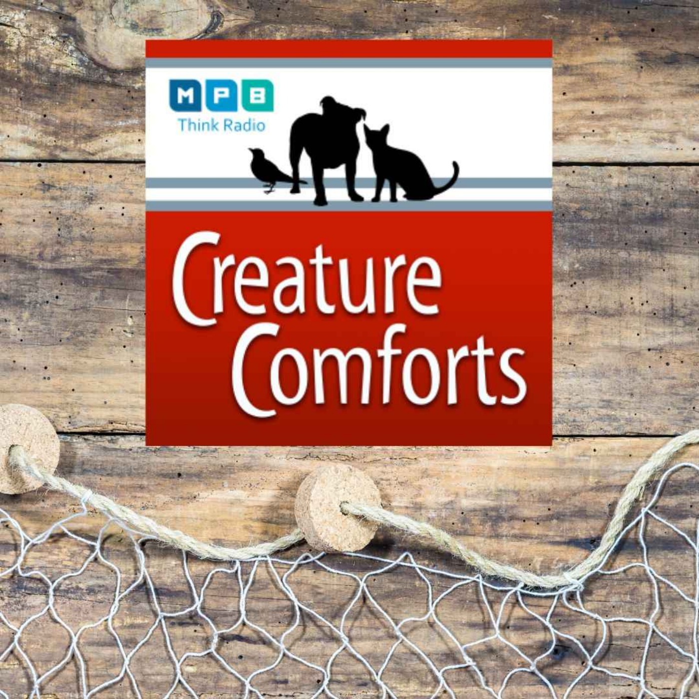 Creature Comforts | Summer Fishing & Birding