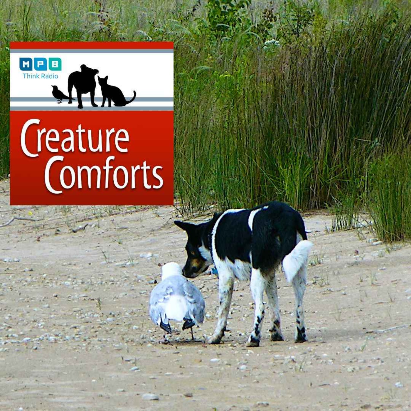 Creature Comforts | Nature Conservancy