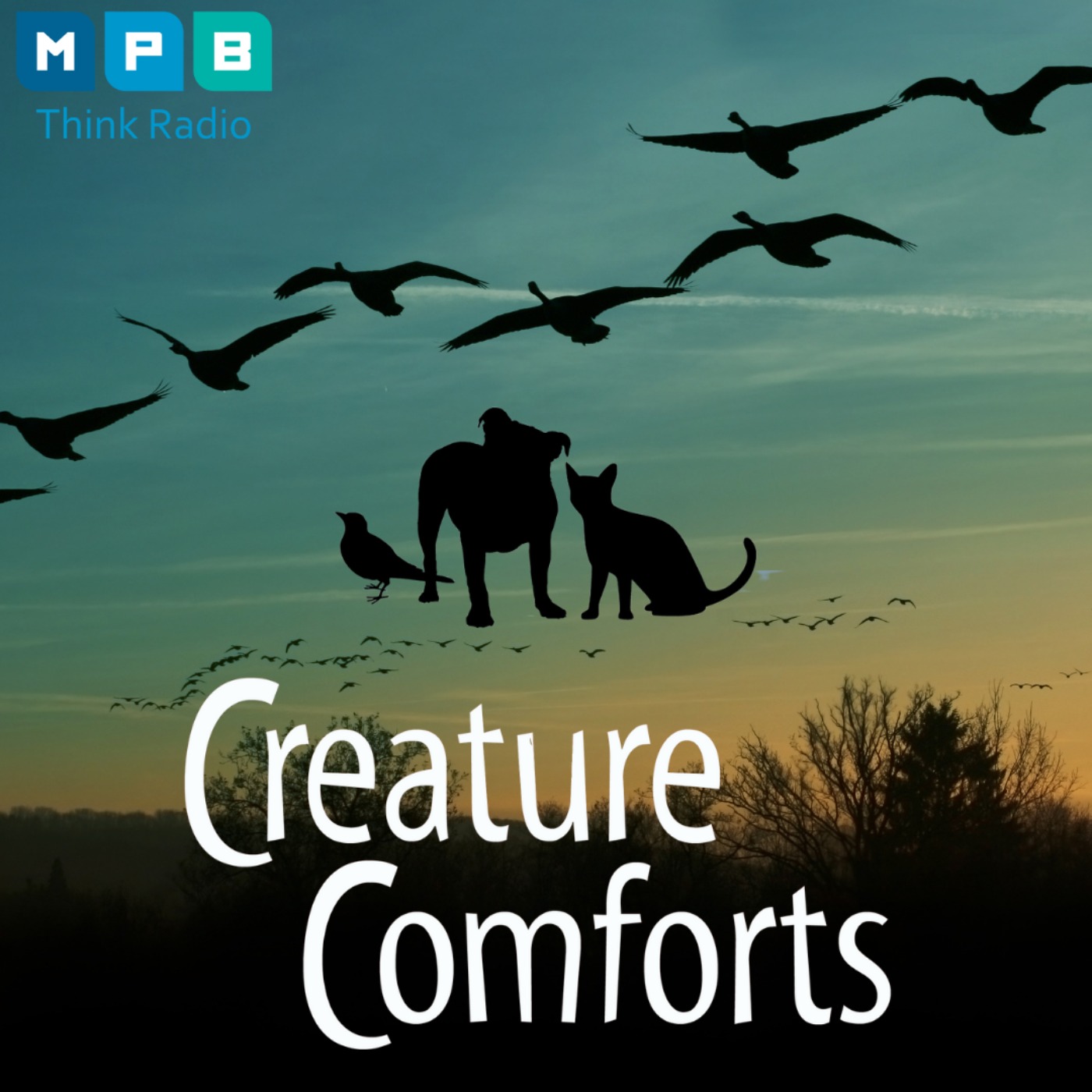 Creature Comforts | Migratory Birds of Mississippi