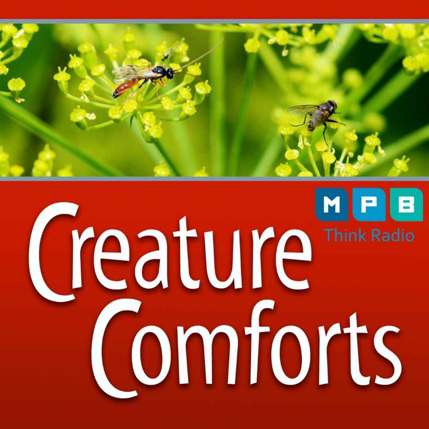 Creature Comforts | Fall Bug Population