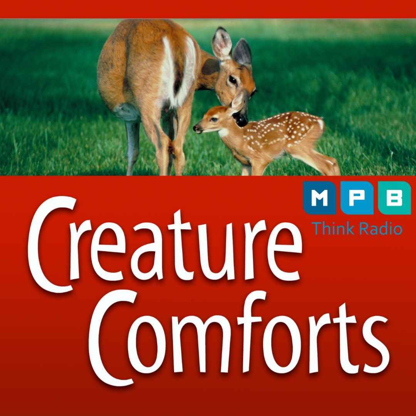 Creature Comforts | Deer Day