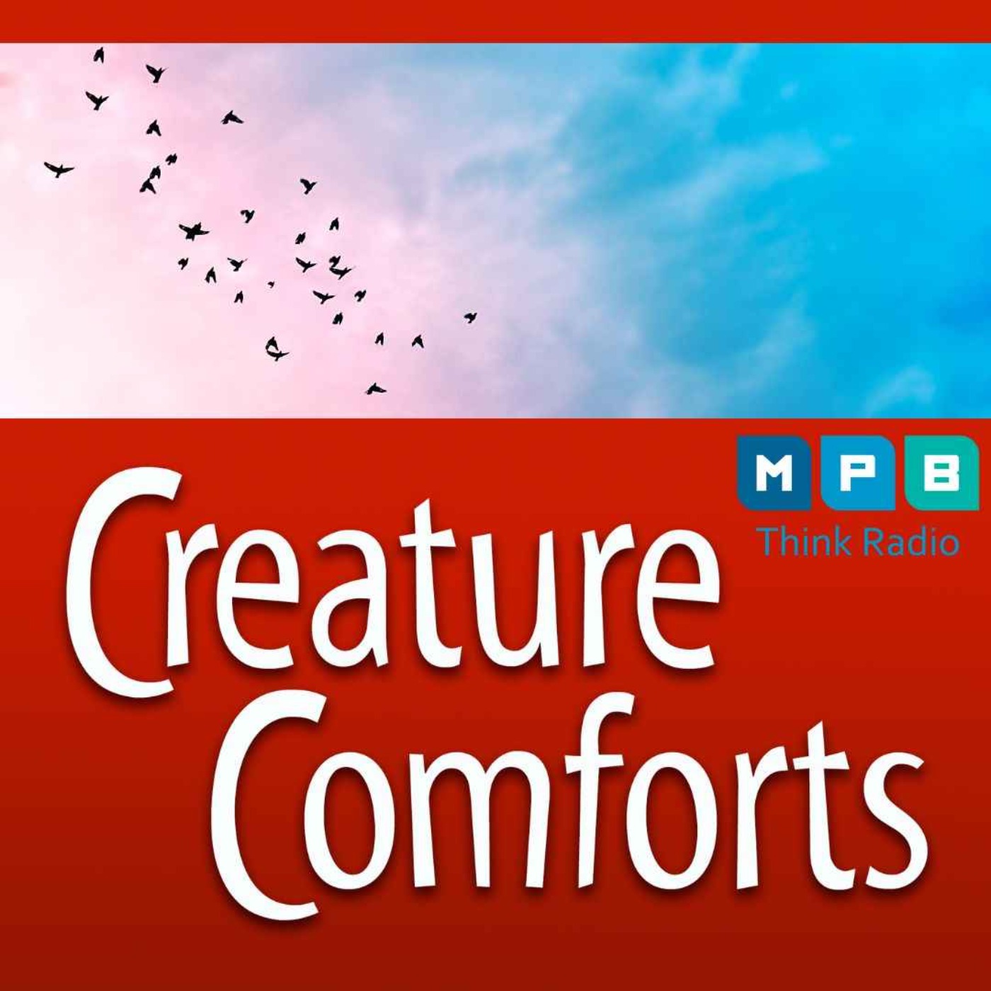 Creature Comforts | Delta Wind Birds