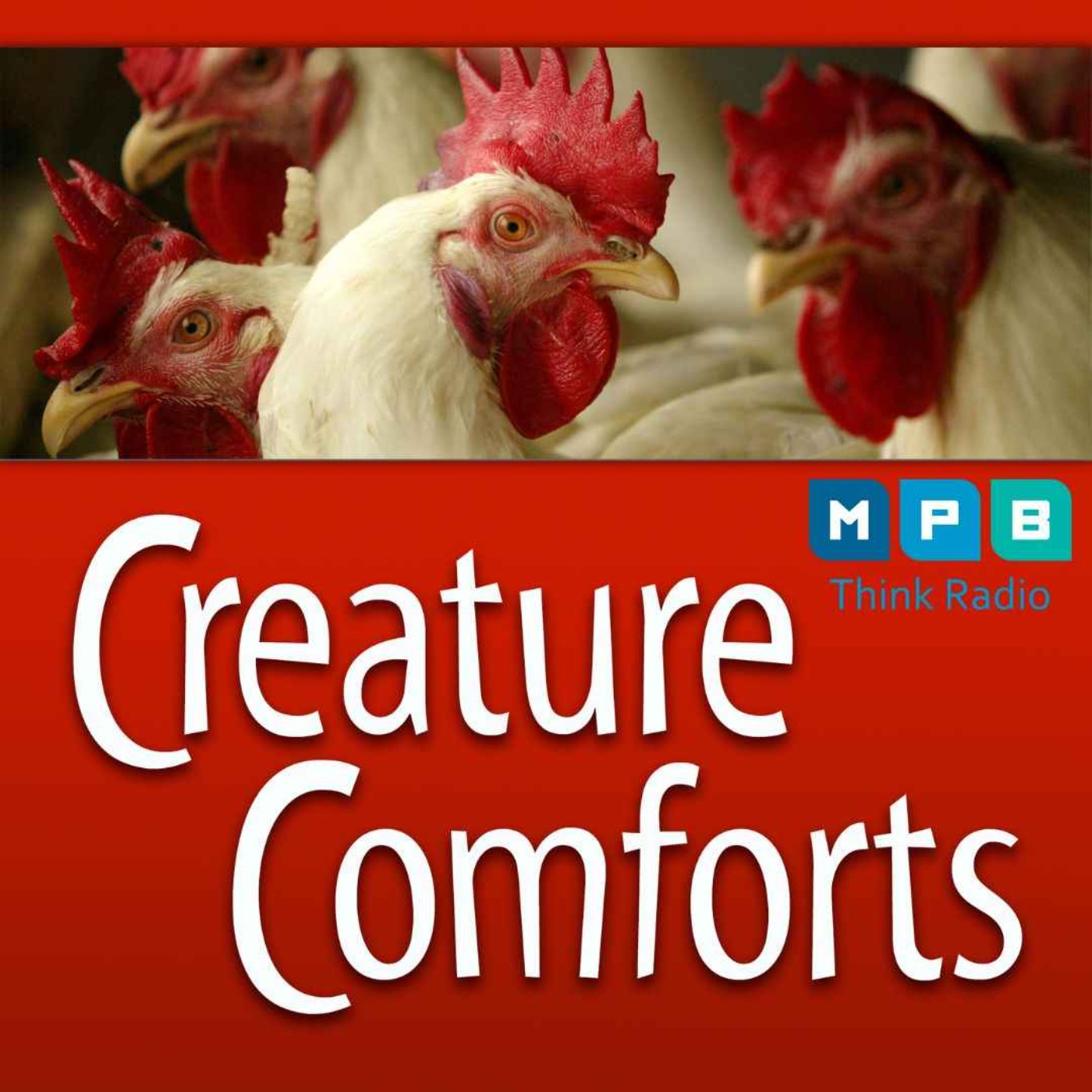 cover art for Creature Comforts | Bird Flu
