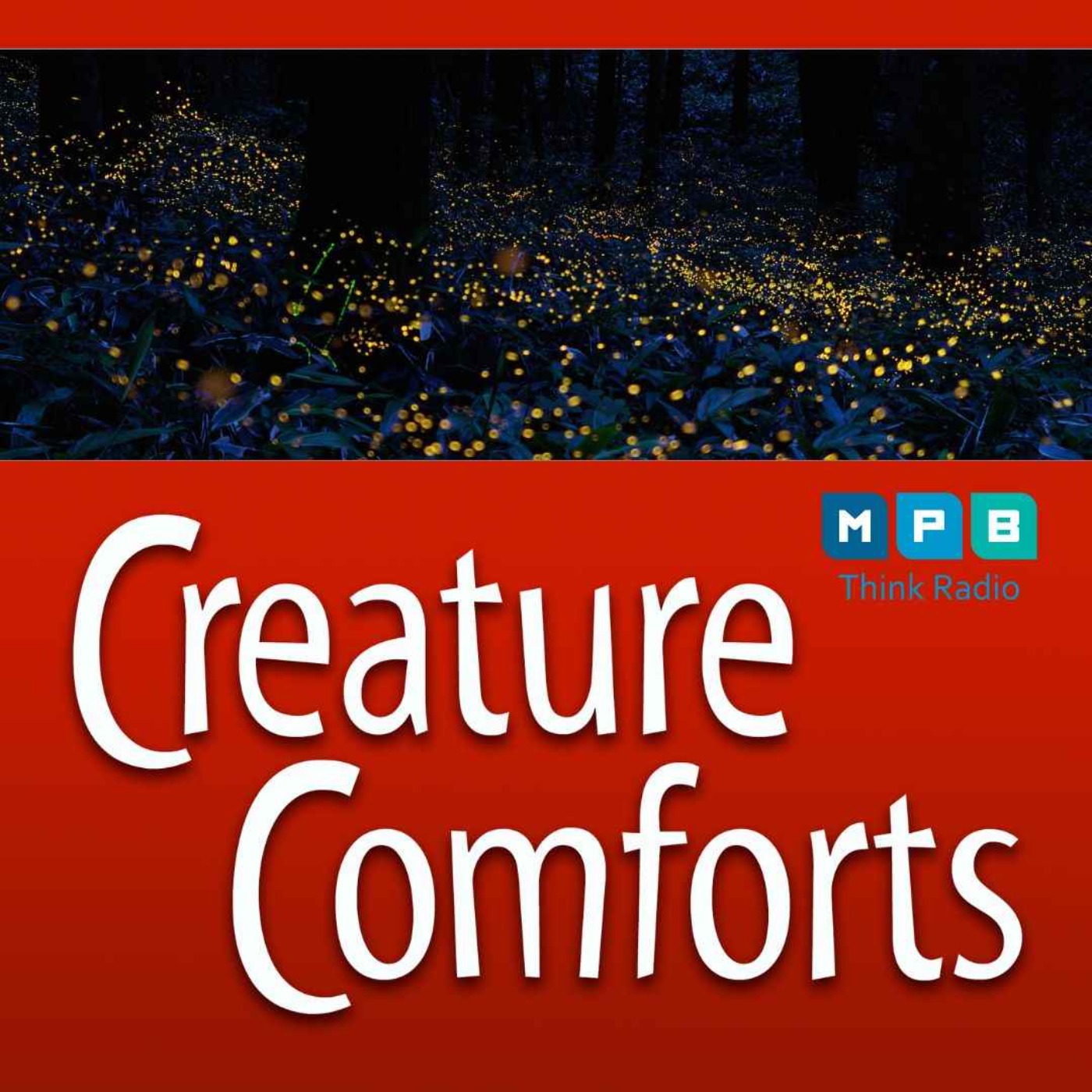 cover art for Creature Comforts | Fireflies