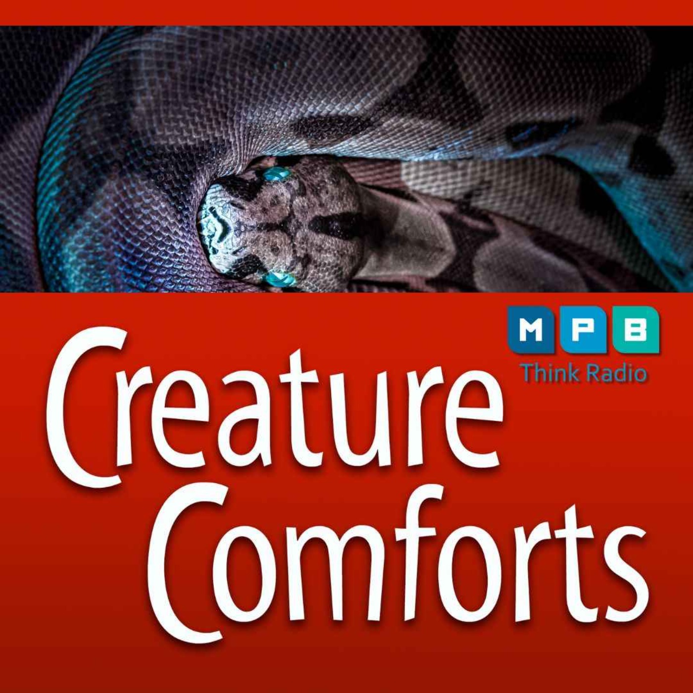 cover art for Creature Comforts | Terry The Snake Man