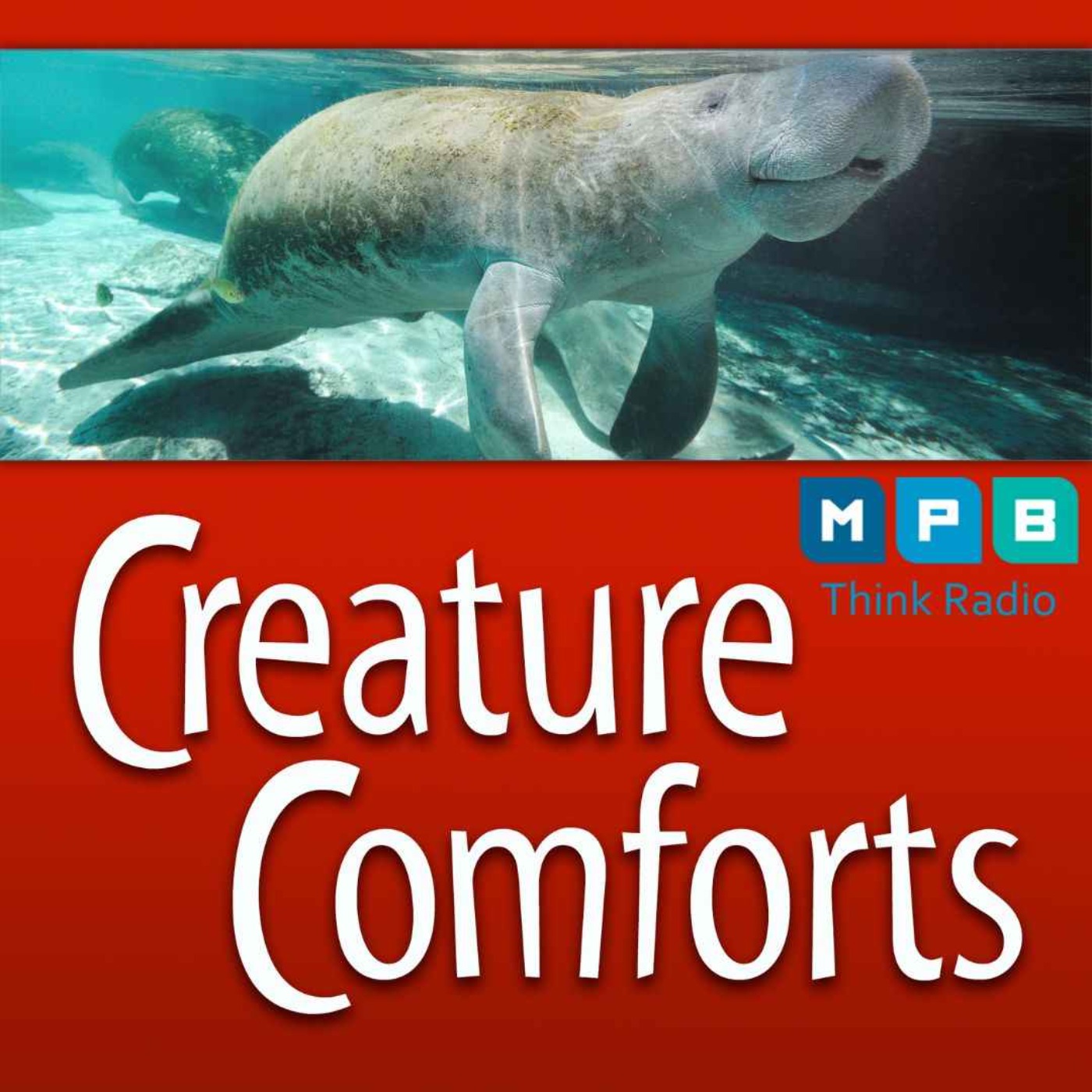 cover art for Creature Comforts | Manatees