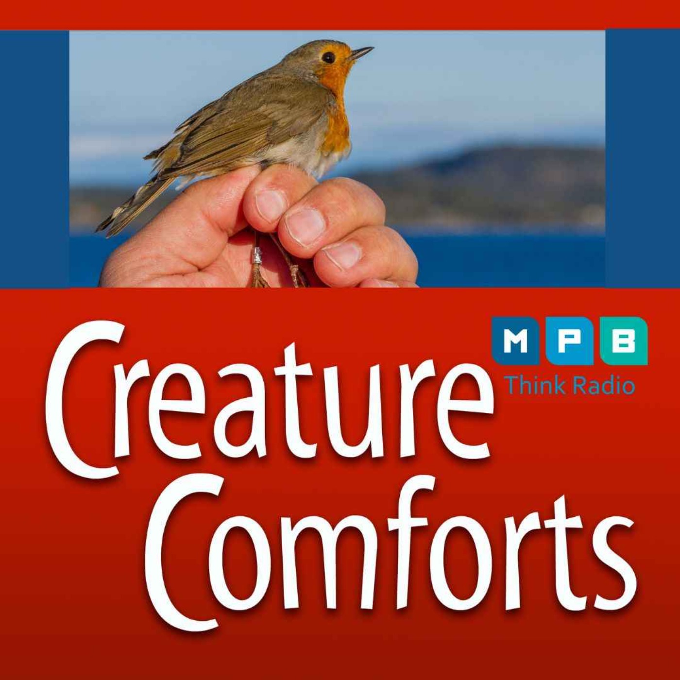 cover art for Creature Comforts | Bird Banding with Emma Rhodes