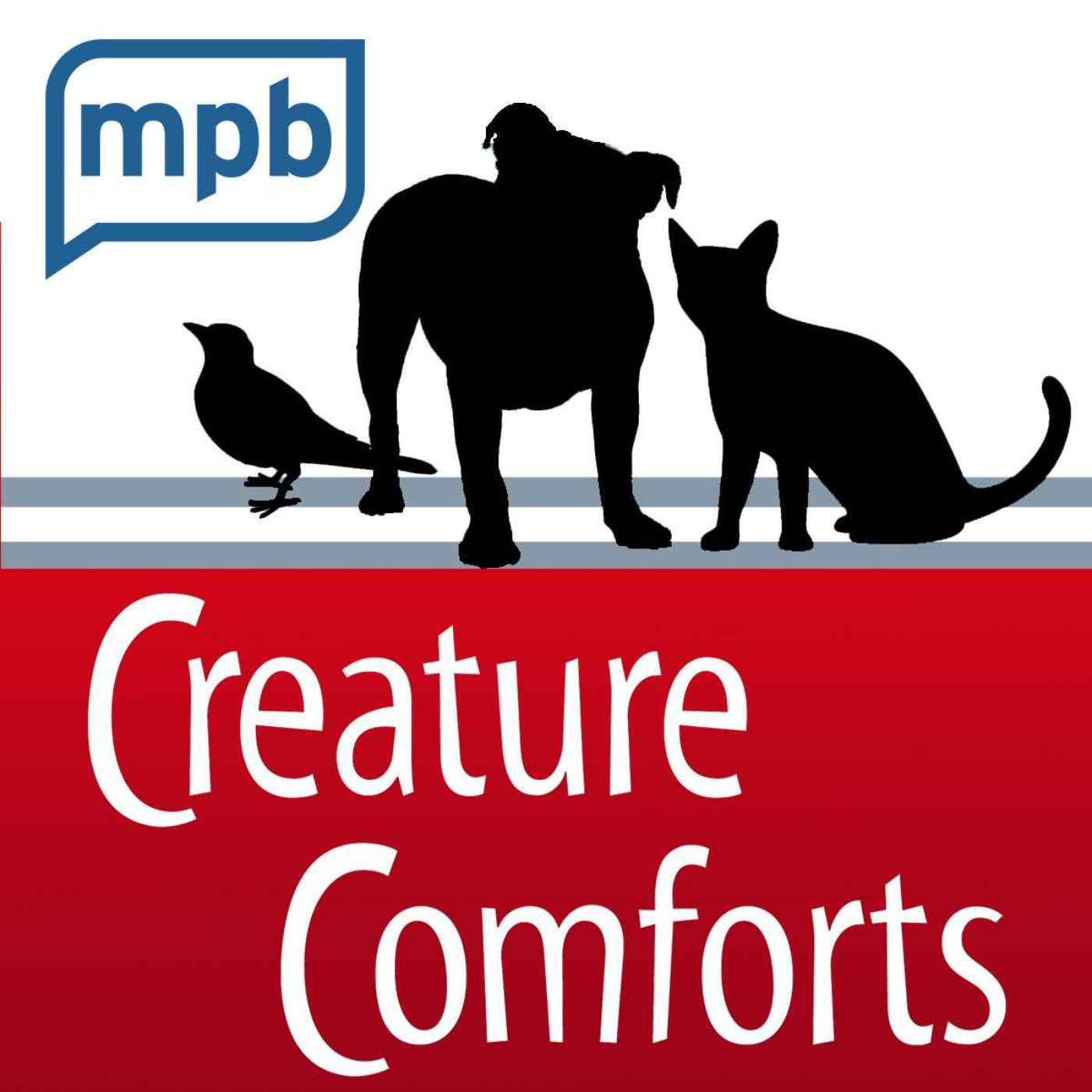 cover art for Creature Comforts | Urban Wildlife