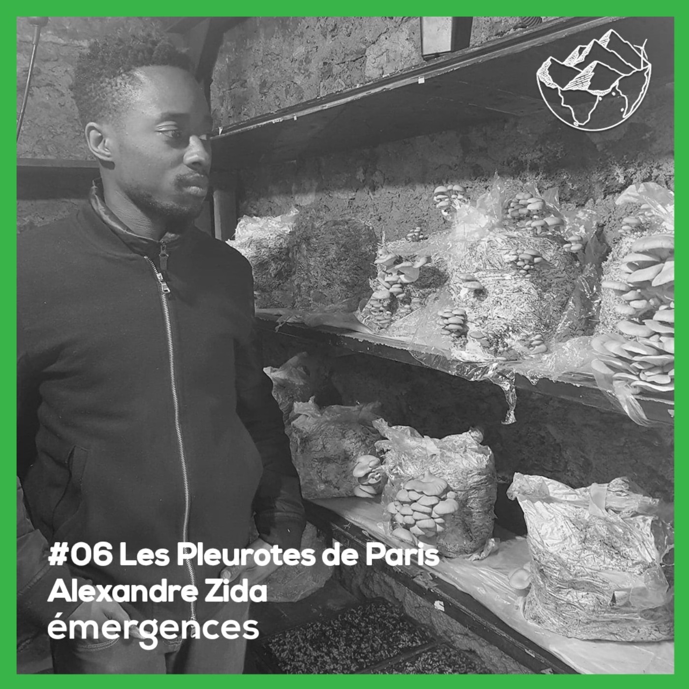 Emergences