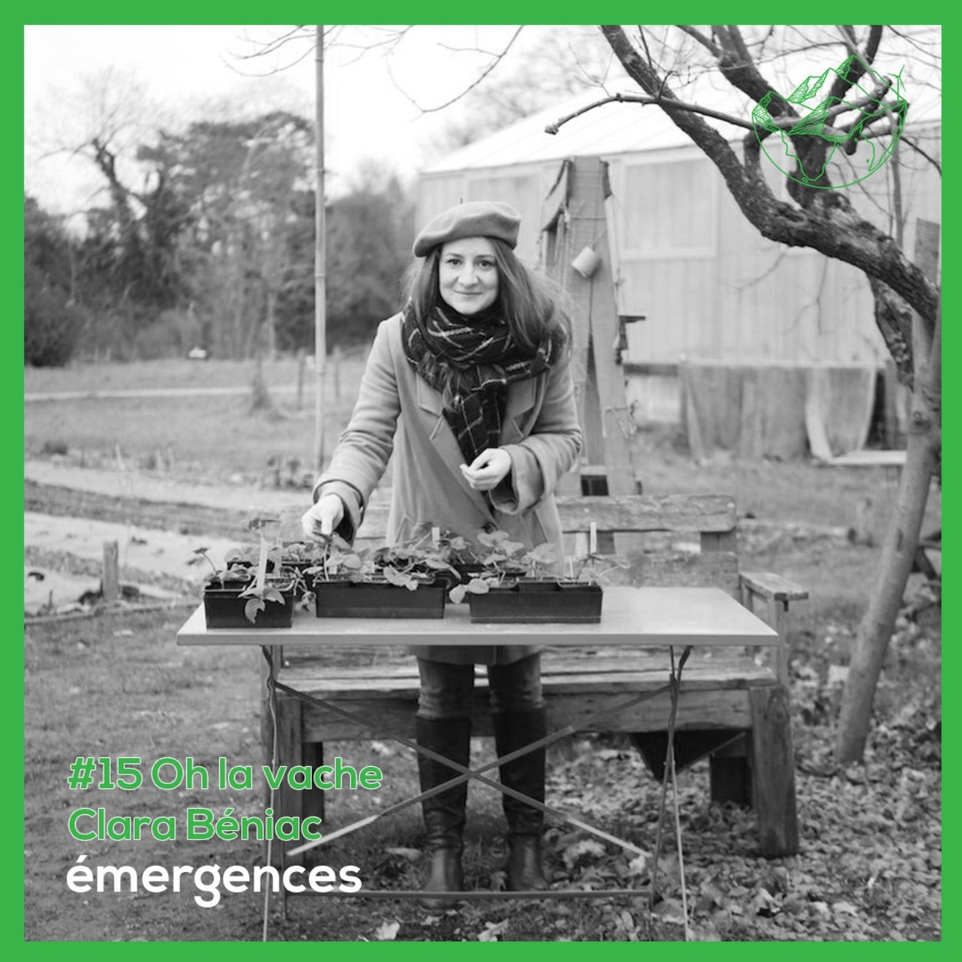 Emergences