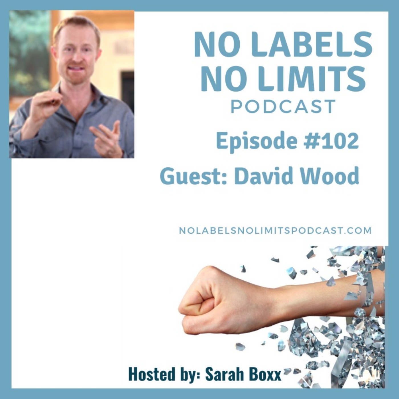 cover art for Episode 102 - No Labels, No Limits podcast with David Wood