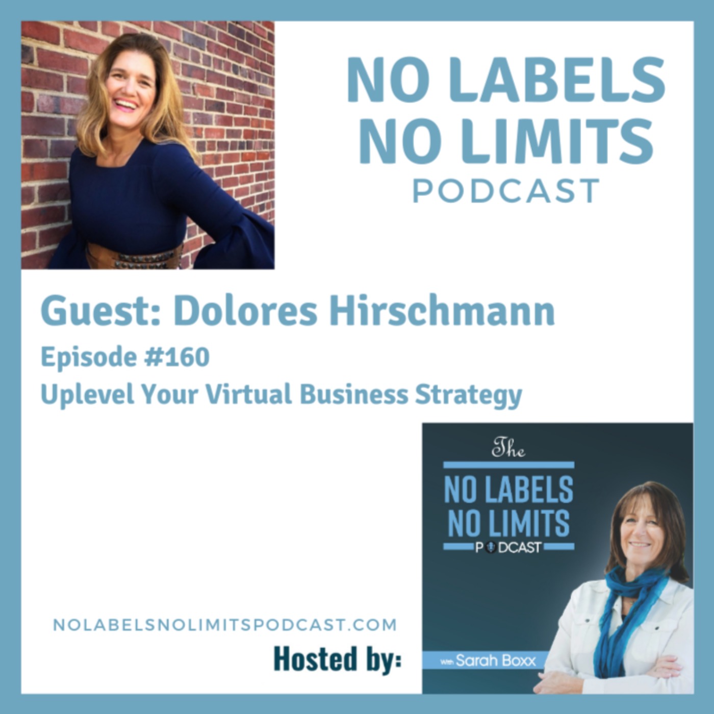 cover art for 160 - Uplevel Your Virtual Business Strategy with Dolores Hirschmann
