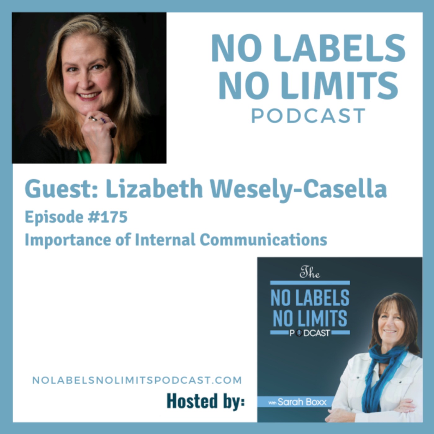 cover art for 175 - The Importance of Internal Communications with Lizabeth Wesely-Casella