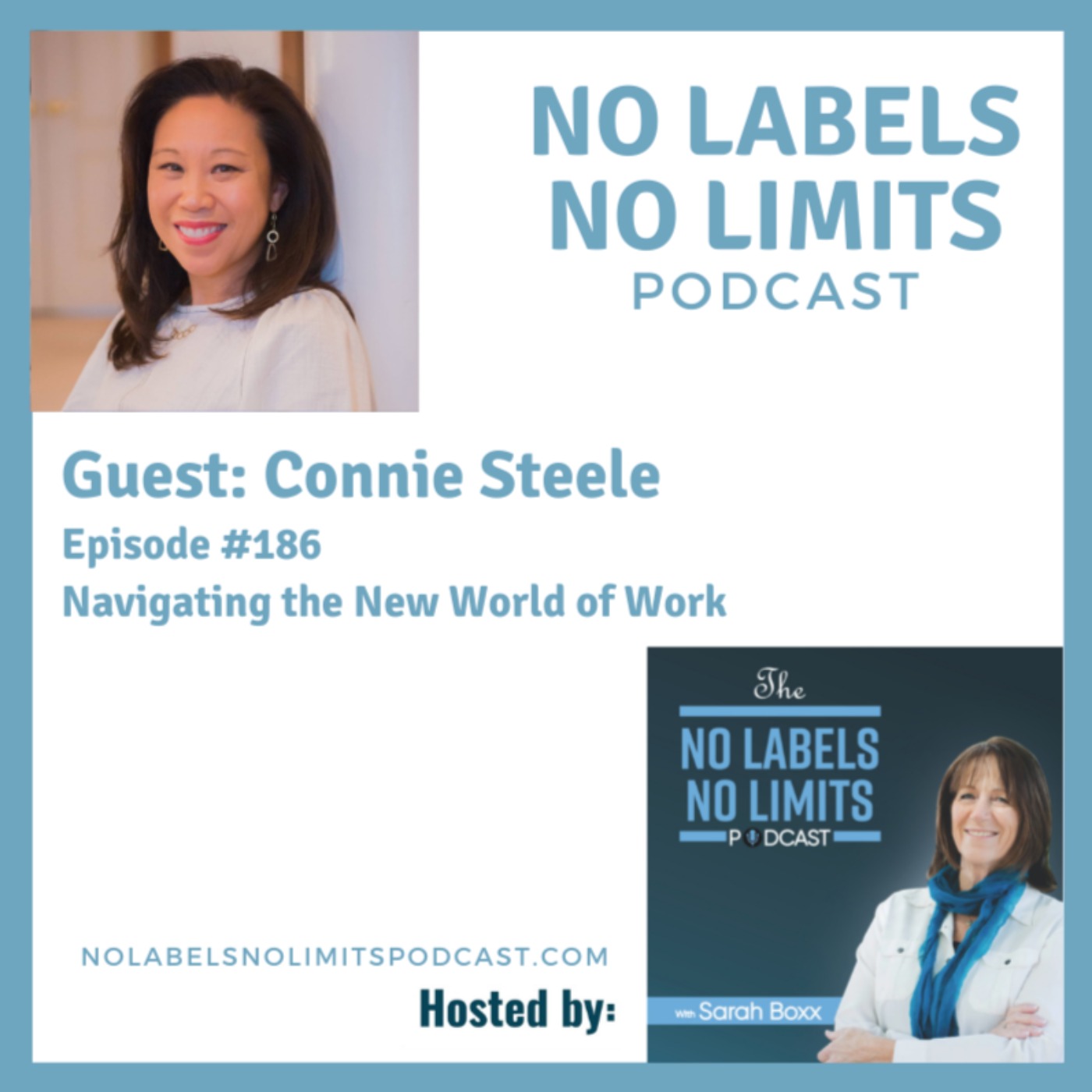 186 - Navigating the New World of Work with Connie Steele