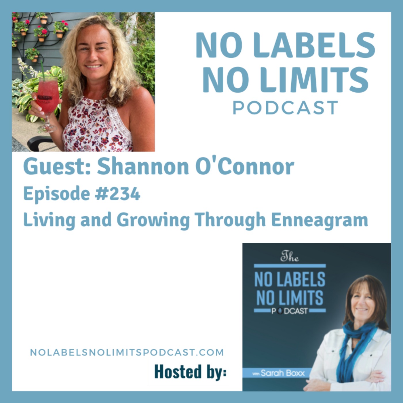 234 - Living and Growing Through Enneagram with Shannon O'Connor