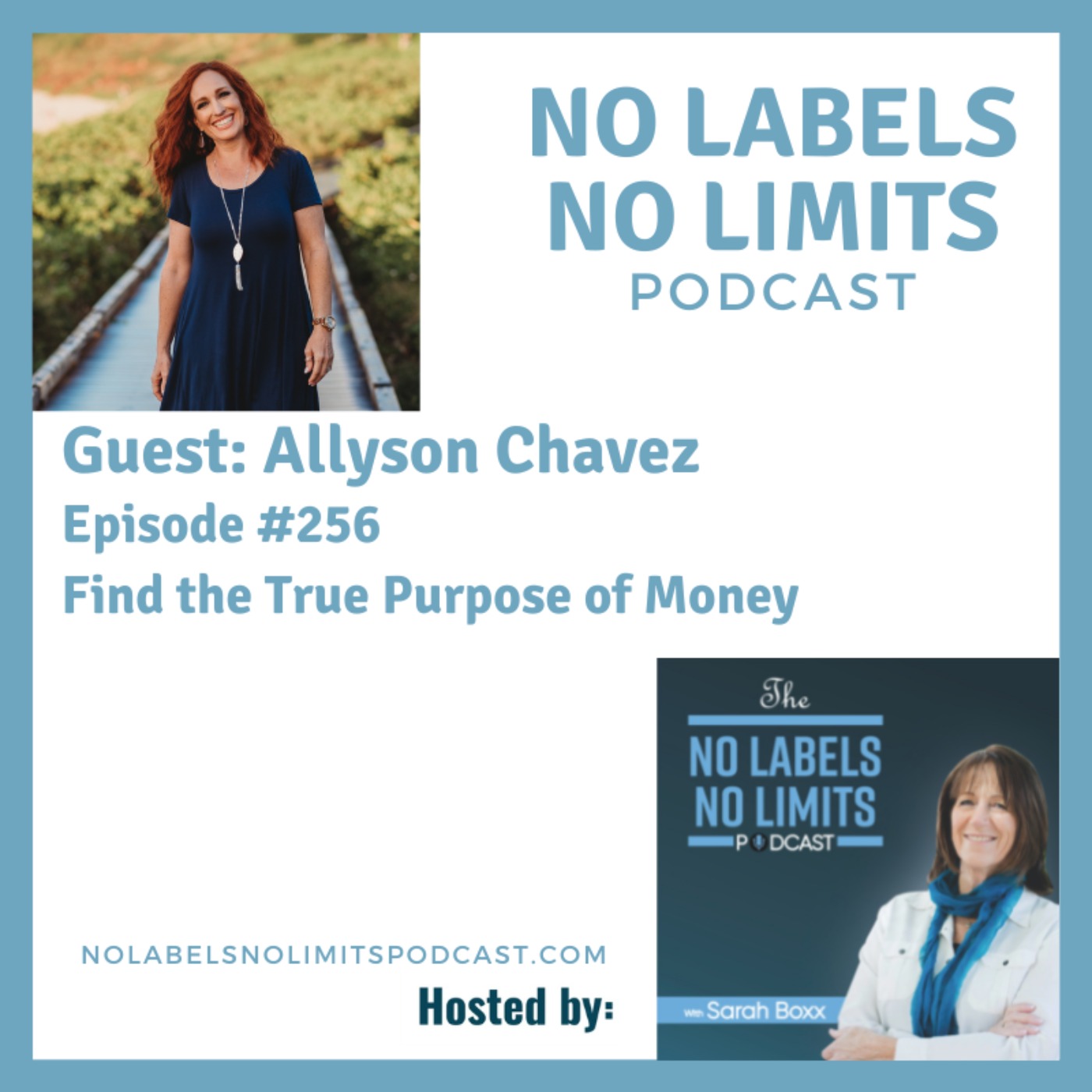 256 – Find the True Purpose of Money with Allyson Chavez