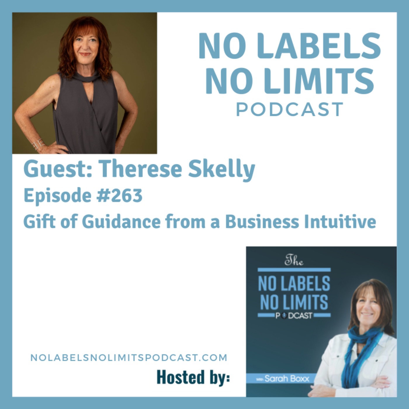 263 - Gift of Guidance from a Business Intuitive with Therese Skelly