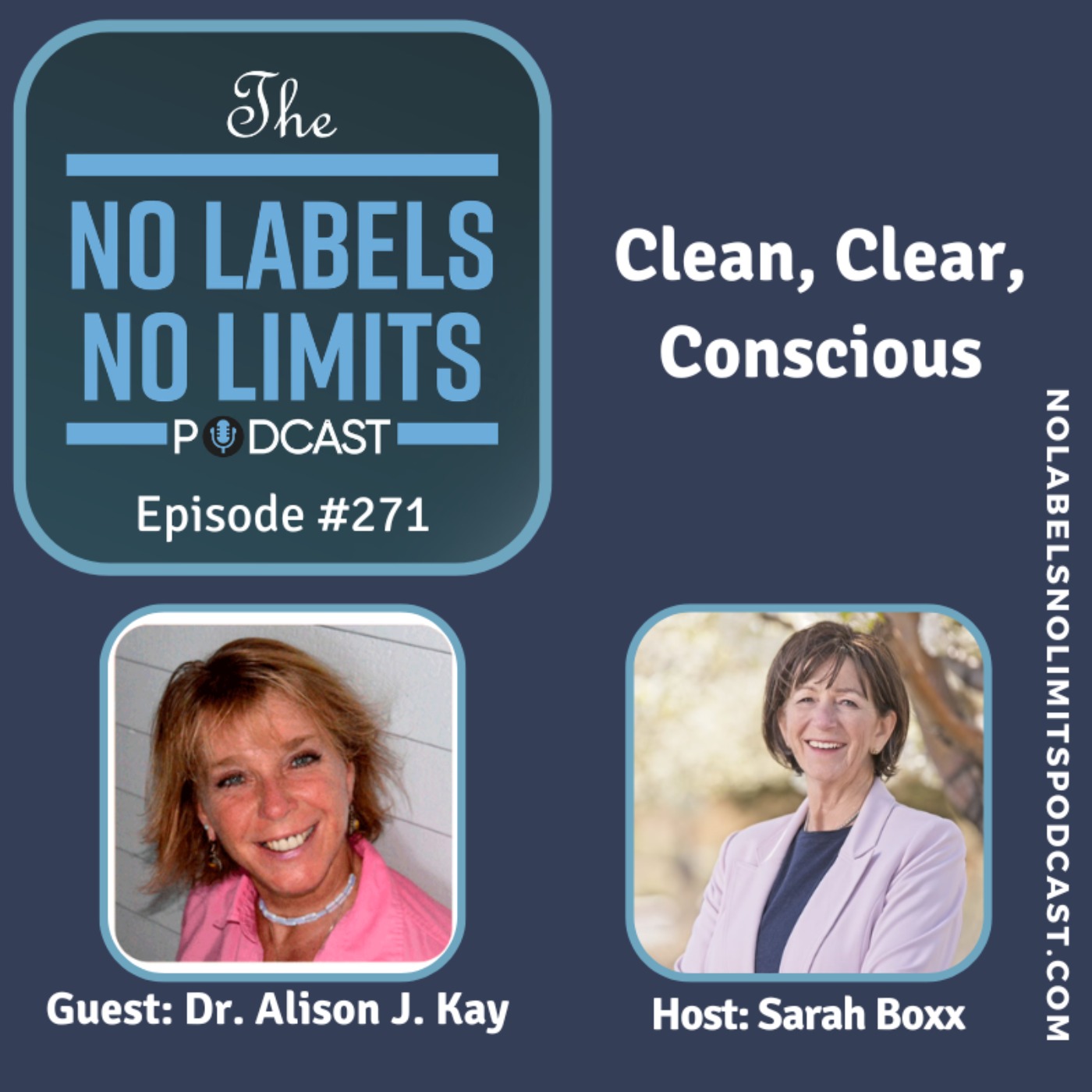 271 - Clean, Clear, Conscious with Dr. Alison J. Kay