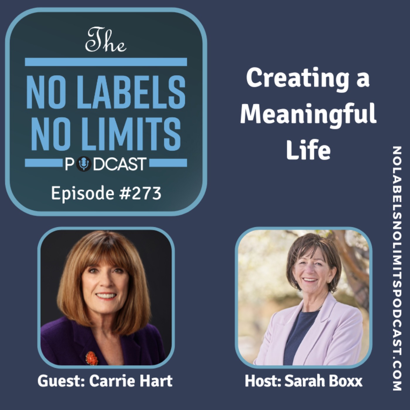 273 - Creating a Meaningful Life with Carrie Hart