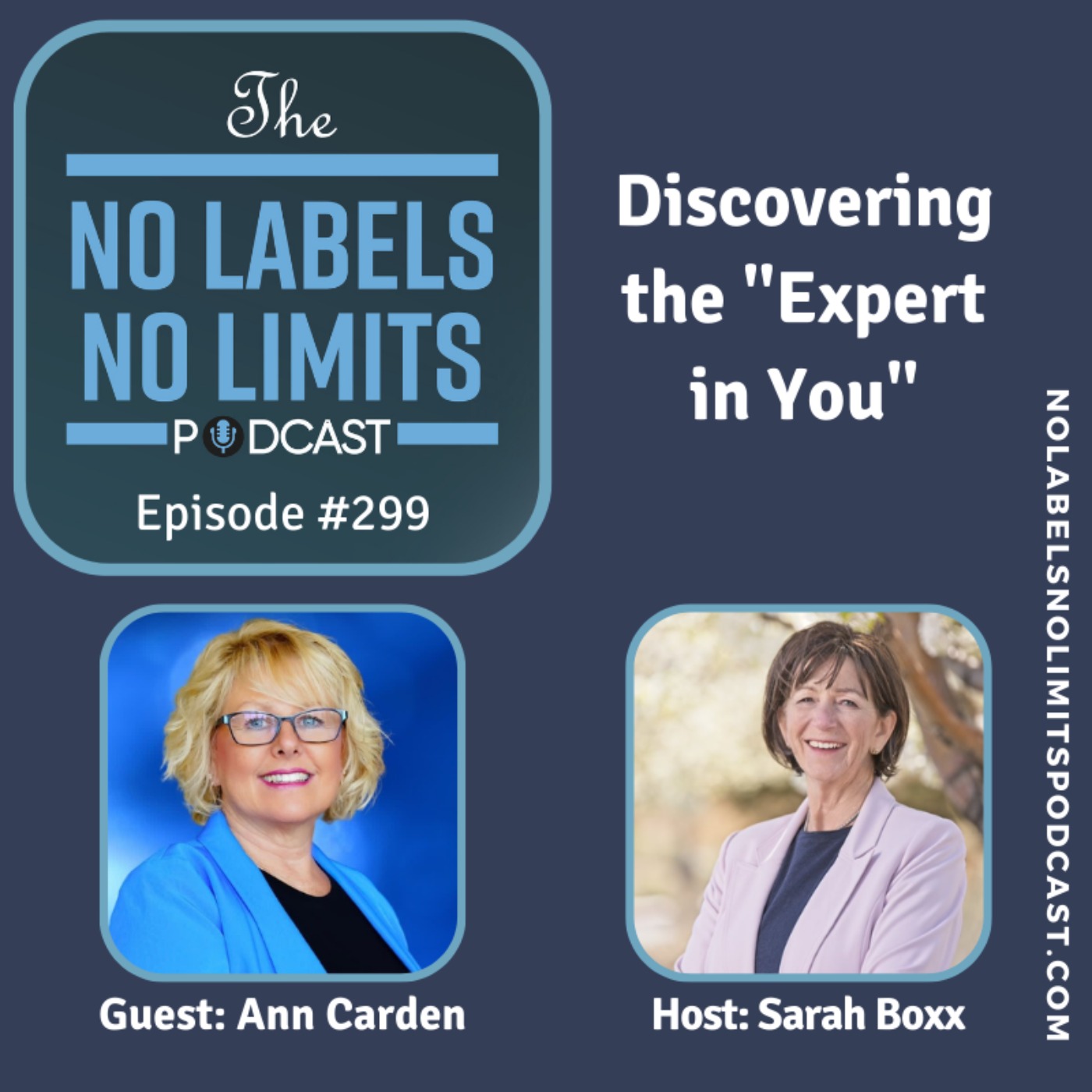 cover art for 299 - Discovering the "Expert in You" with Ann Carden