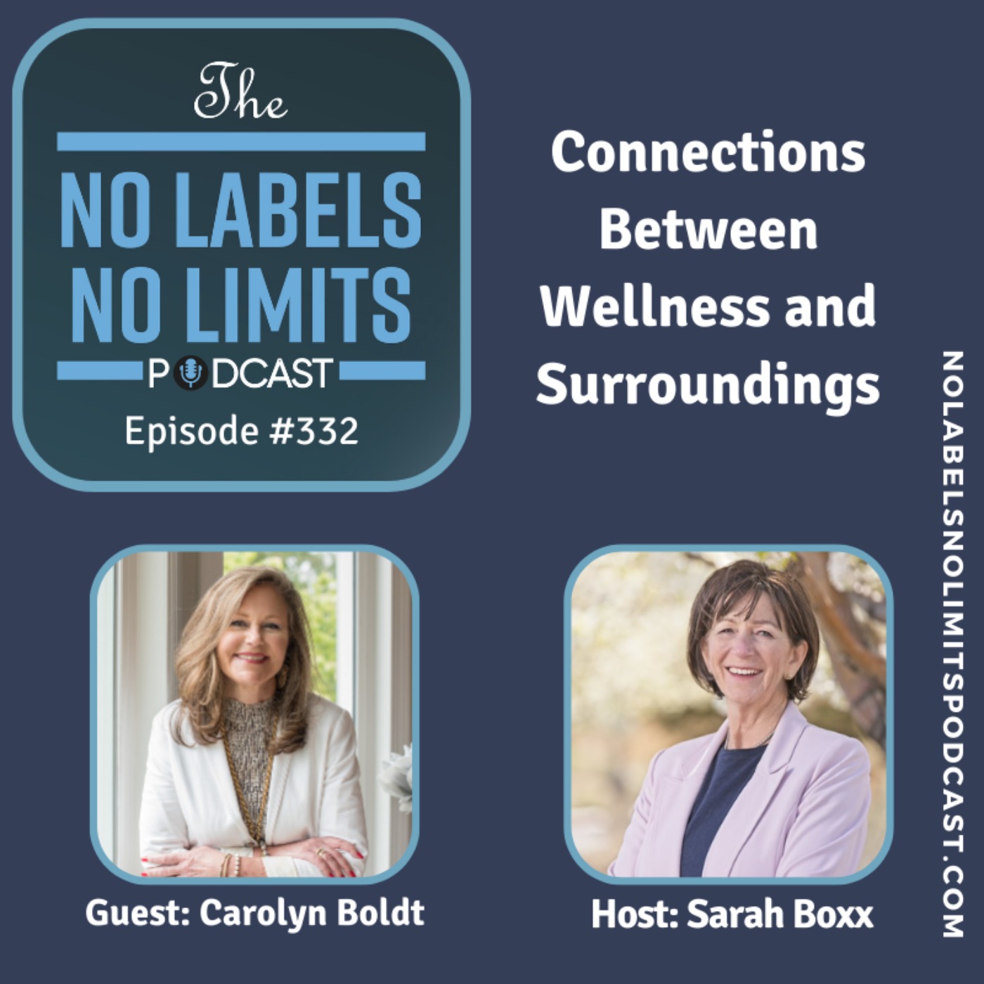 cover art for 332 - Connections Between Wellness and Surroundings with Carolyn Boldt
