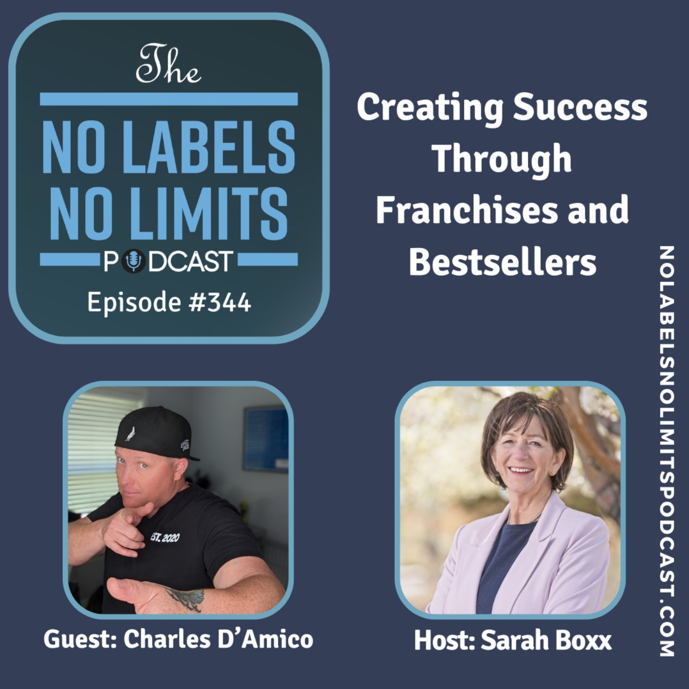 cover art for 344 - Creating Success Through Franchises and Bestsellers with Charles D'Amico