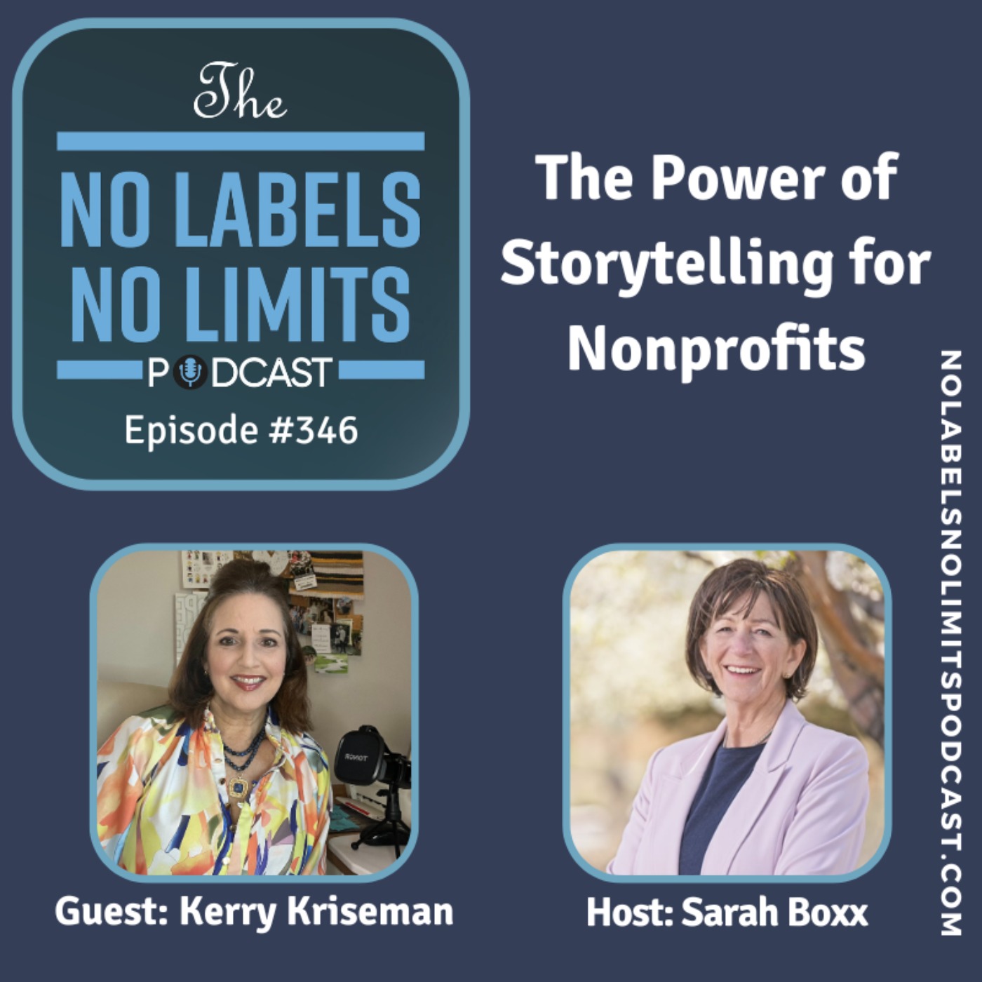 cover art for 346 - The Power of Storytelling for Nonprofits with Kerry Kriseman
