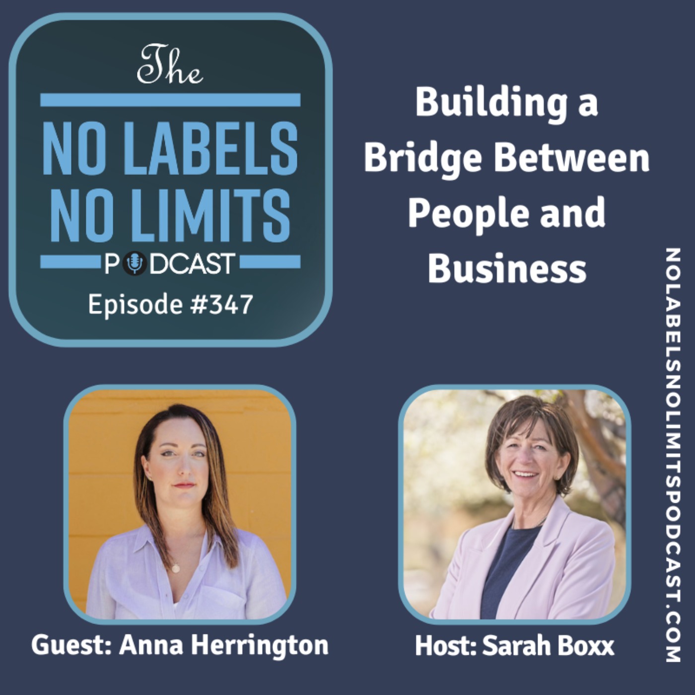 cover art for 347 - Building a Bridge Between People and Business with Anna Herrington