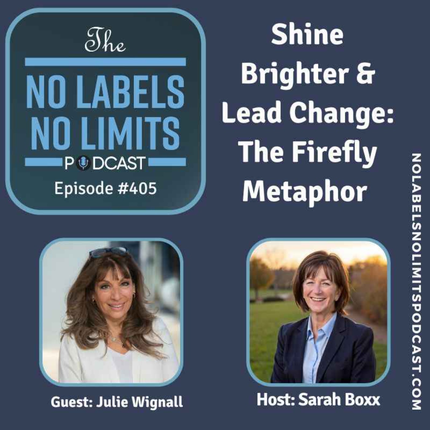 405 - Shine Brighter & Lead Change: The Firefly Metaphor with Julie Wignall
