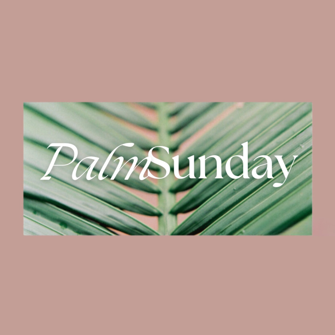 cover art for Palm Sunday | Guest Speaker Brett Westerfield