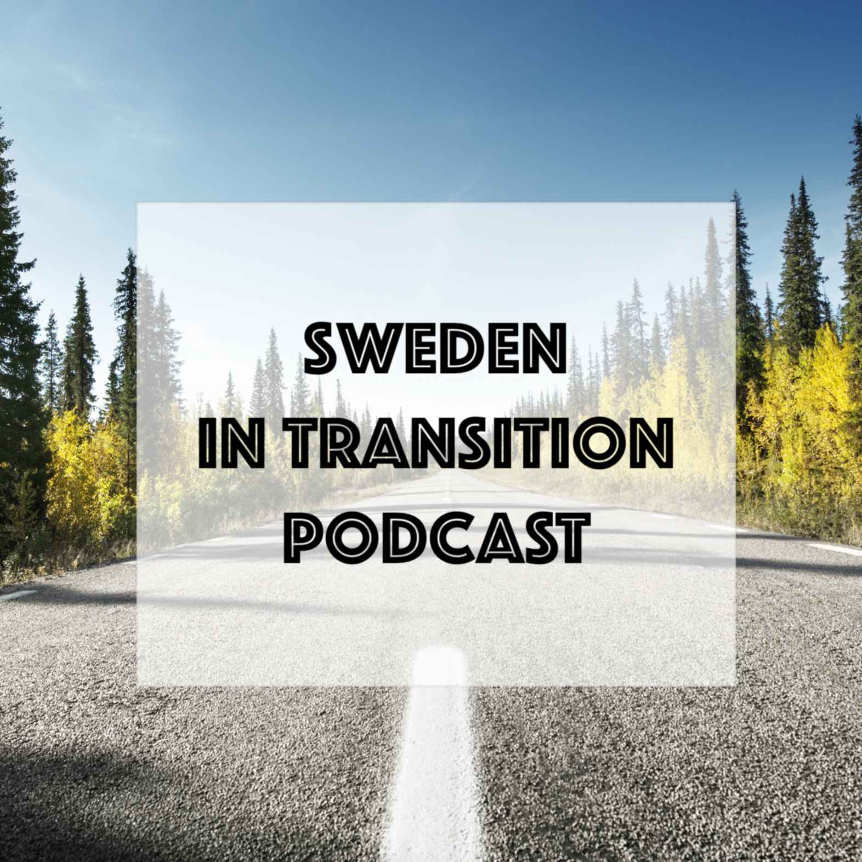 Sweden in Transition #19 - Julian Reisz on Purpose at Work