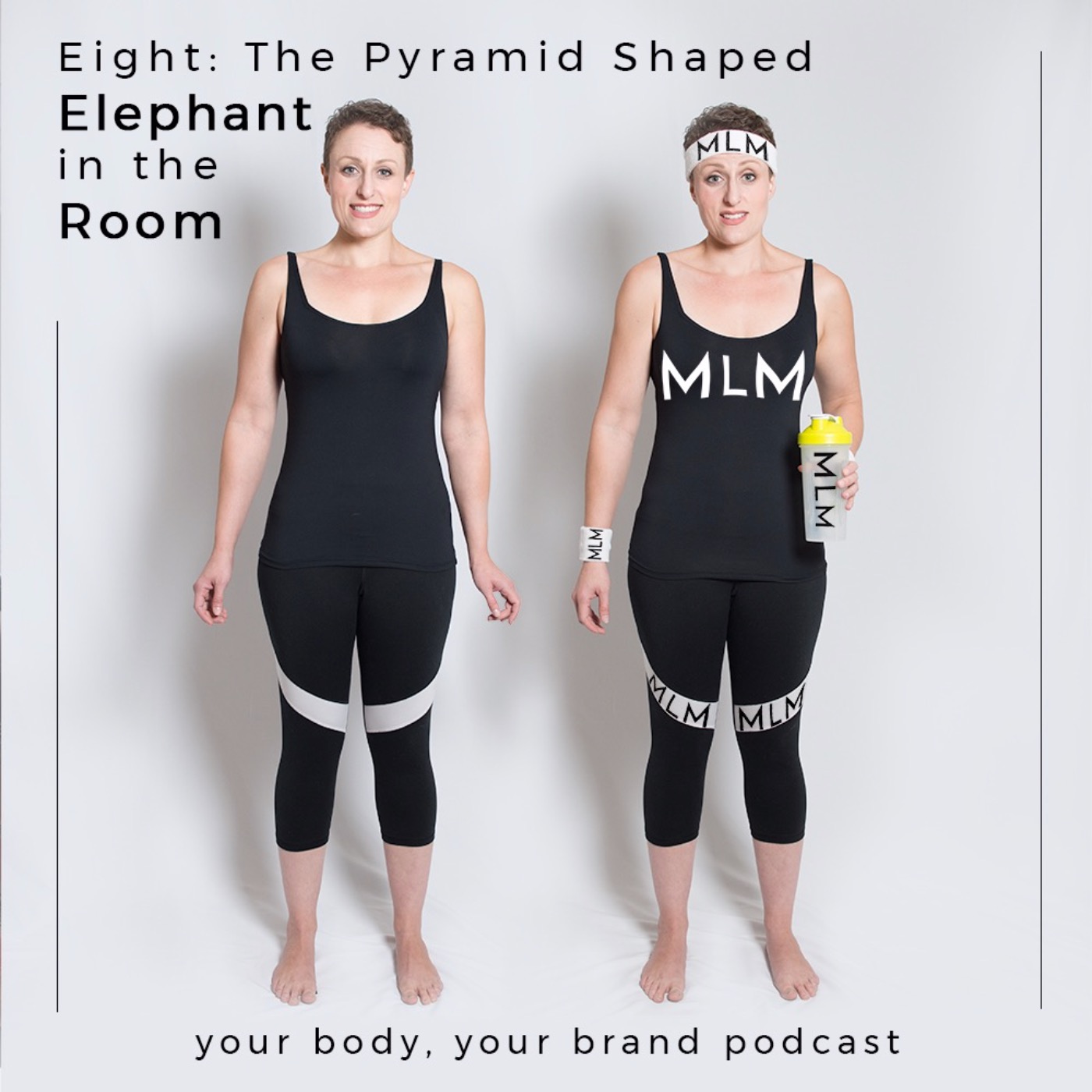 The Pyramid-Shaped Elephant in the Room episode artwork