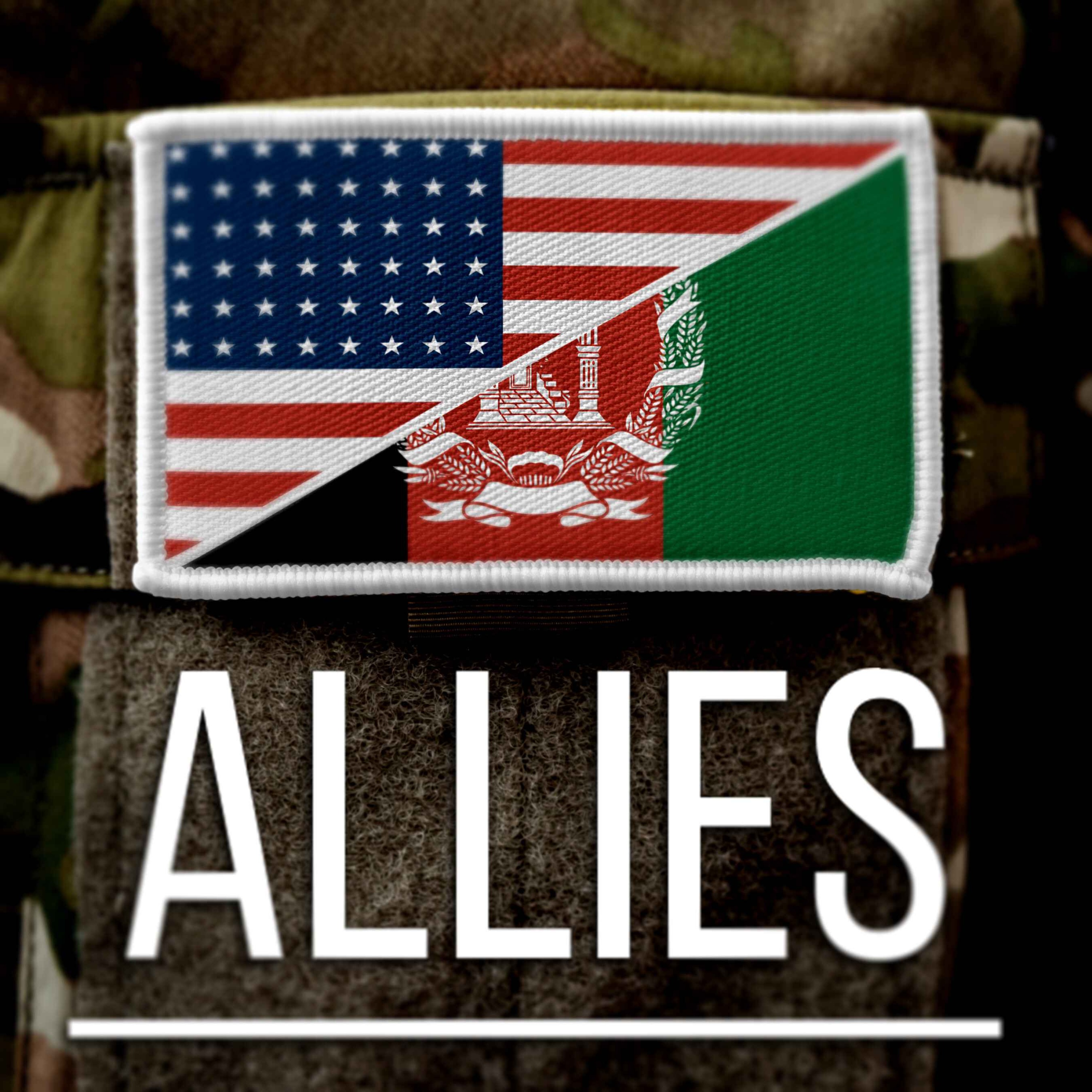 cover art for Lawfare Presents: ALLIES Ep. 3