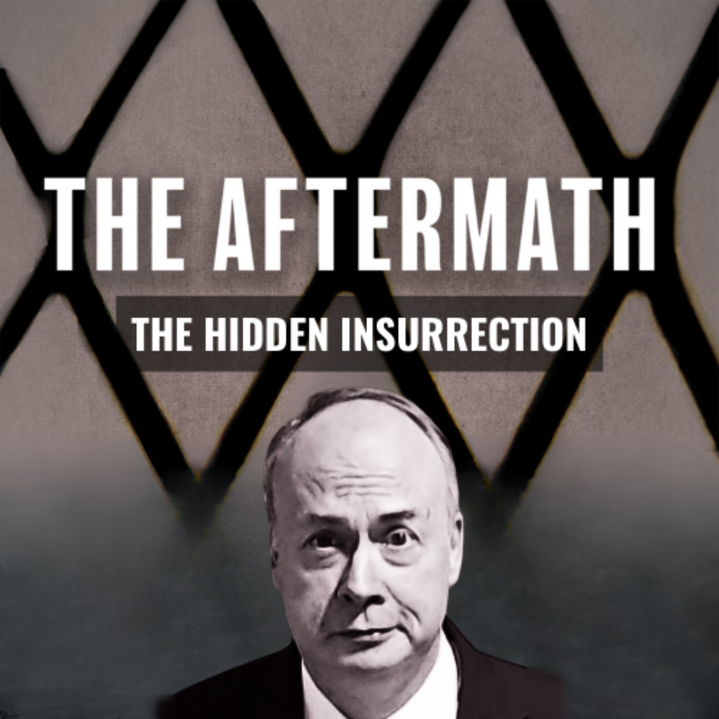 cover art for The Aftermath S2E4 - The Hidden Insurrection