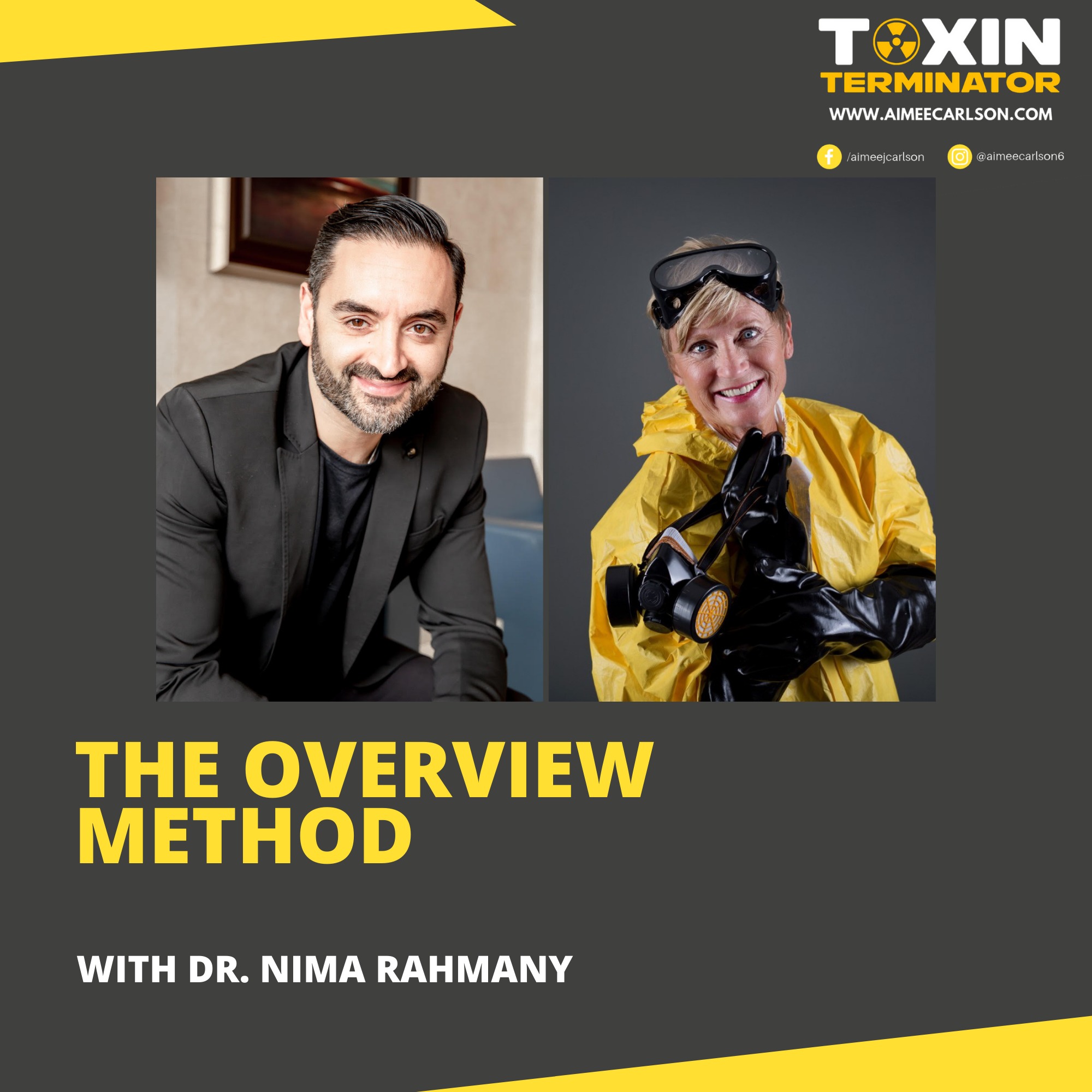 The Overview Method with Dr. Nima
