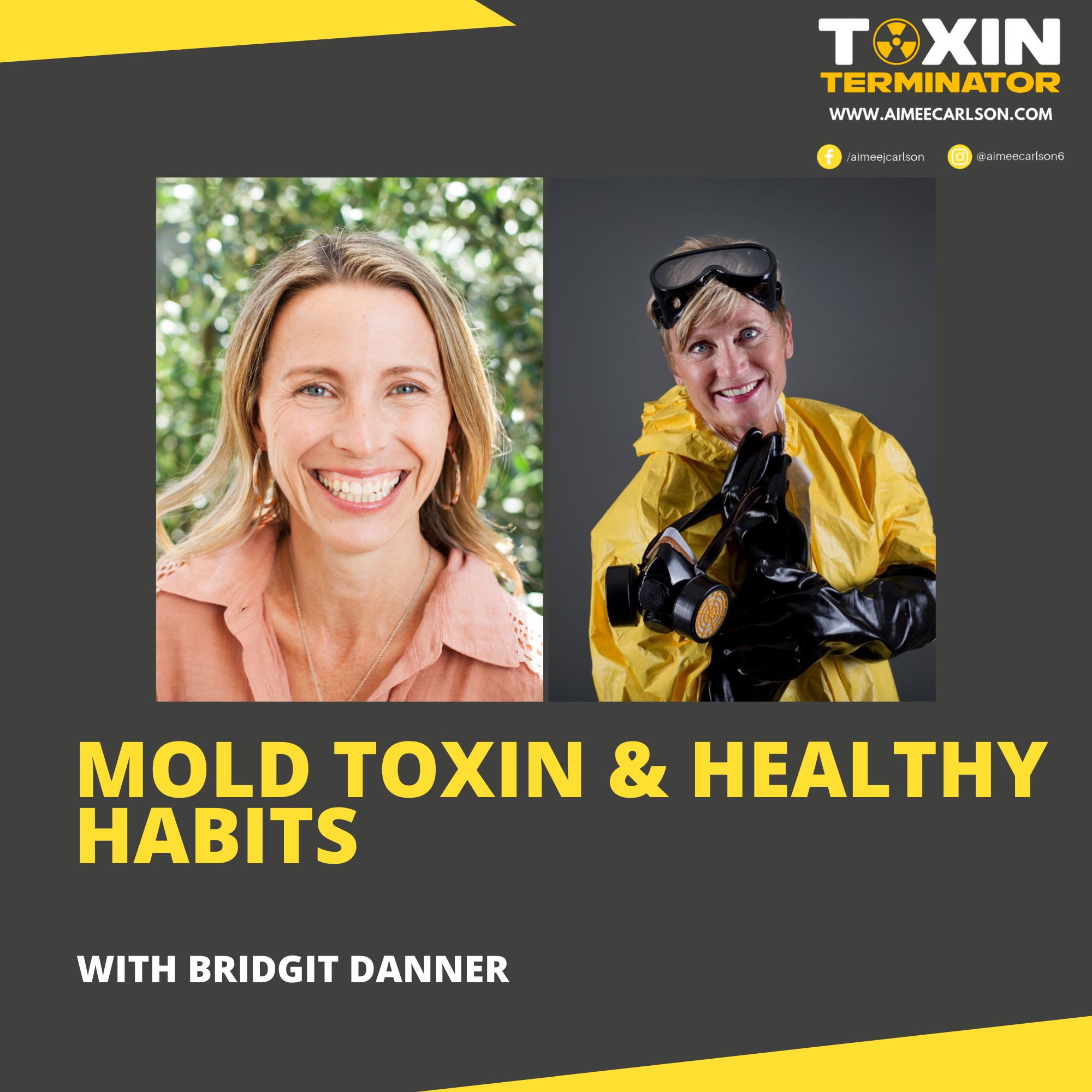Mold Toxin & Healthy Habits with Bridgit Danner
