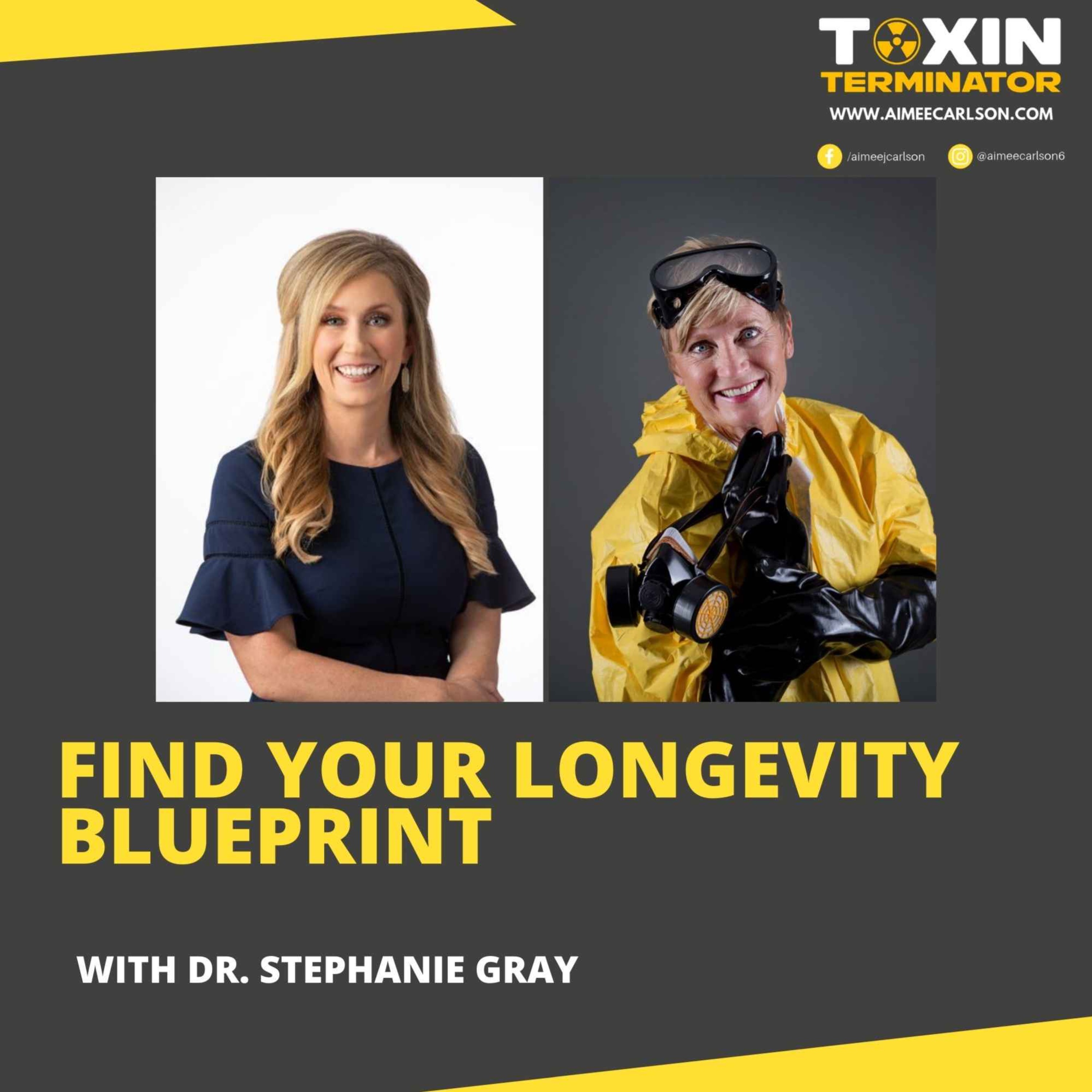 cover art for Find Your Longevity Blueprint with Dr. Stephanie Gray