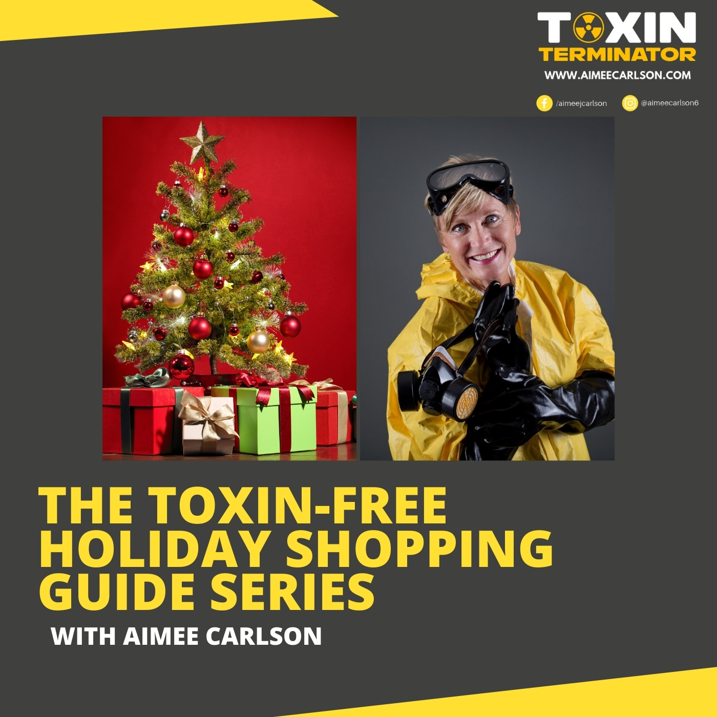 cover art for The Toxin-Free Holiday Shopping Guide Series - Part 1