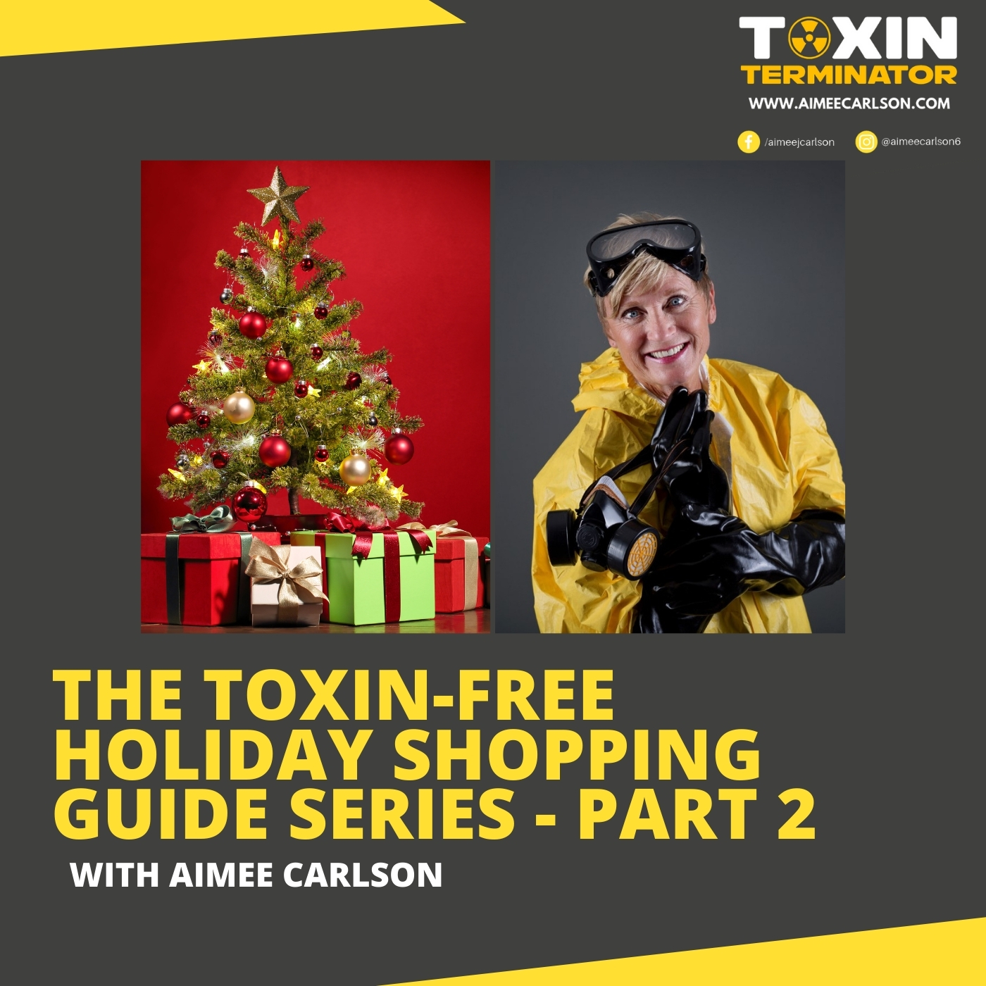 cover art for The Toxin-Free Holiday Shopping Guide Series - Part 2 