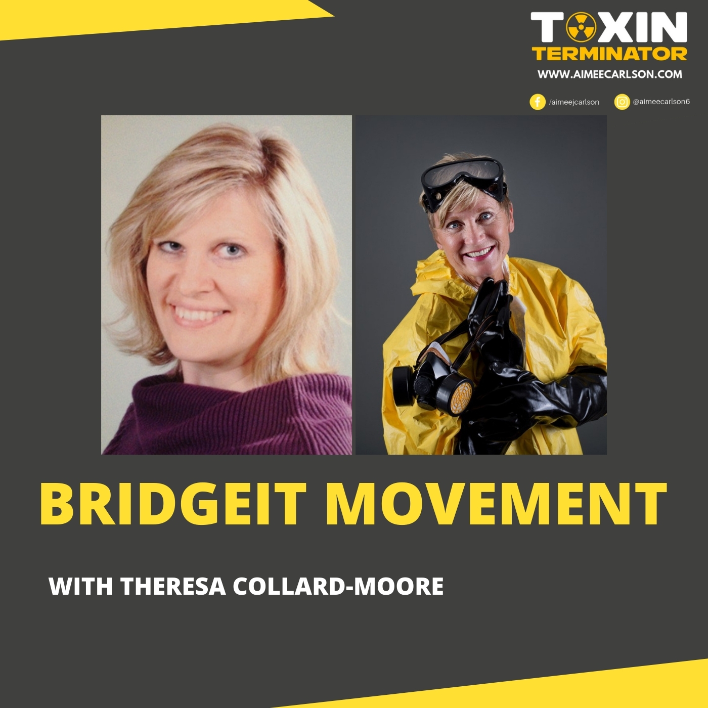 BridgeIT Movement with Theresa Collard-Moore