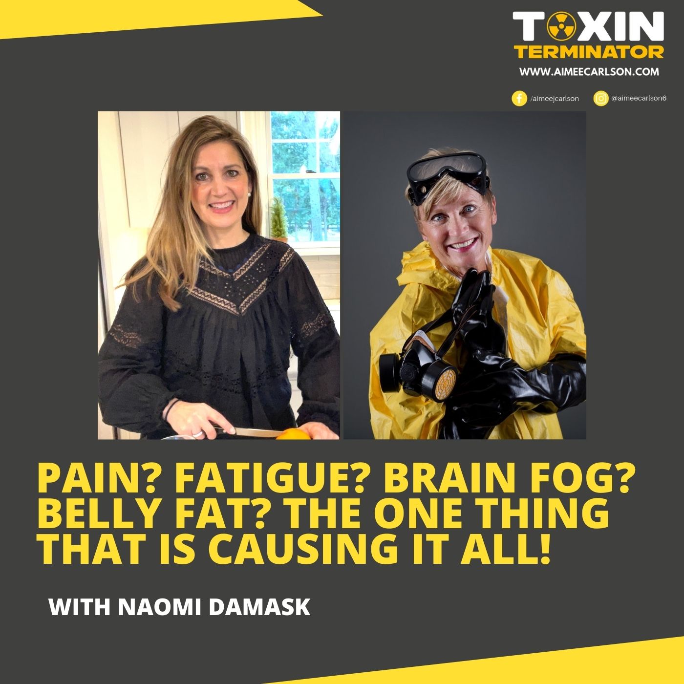 Pain? Fatigue? Brain Fog? Belly Fat? The ONE Thing That Is Causing It All! with Naomi Damask