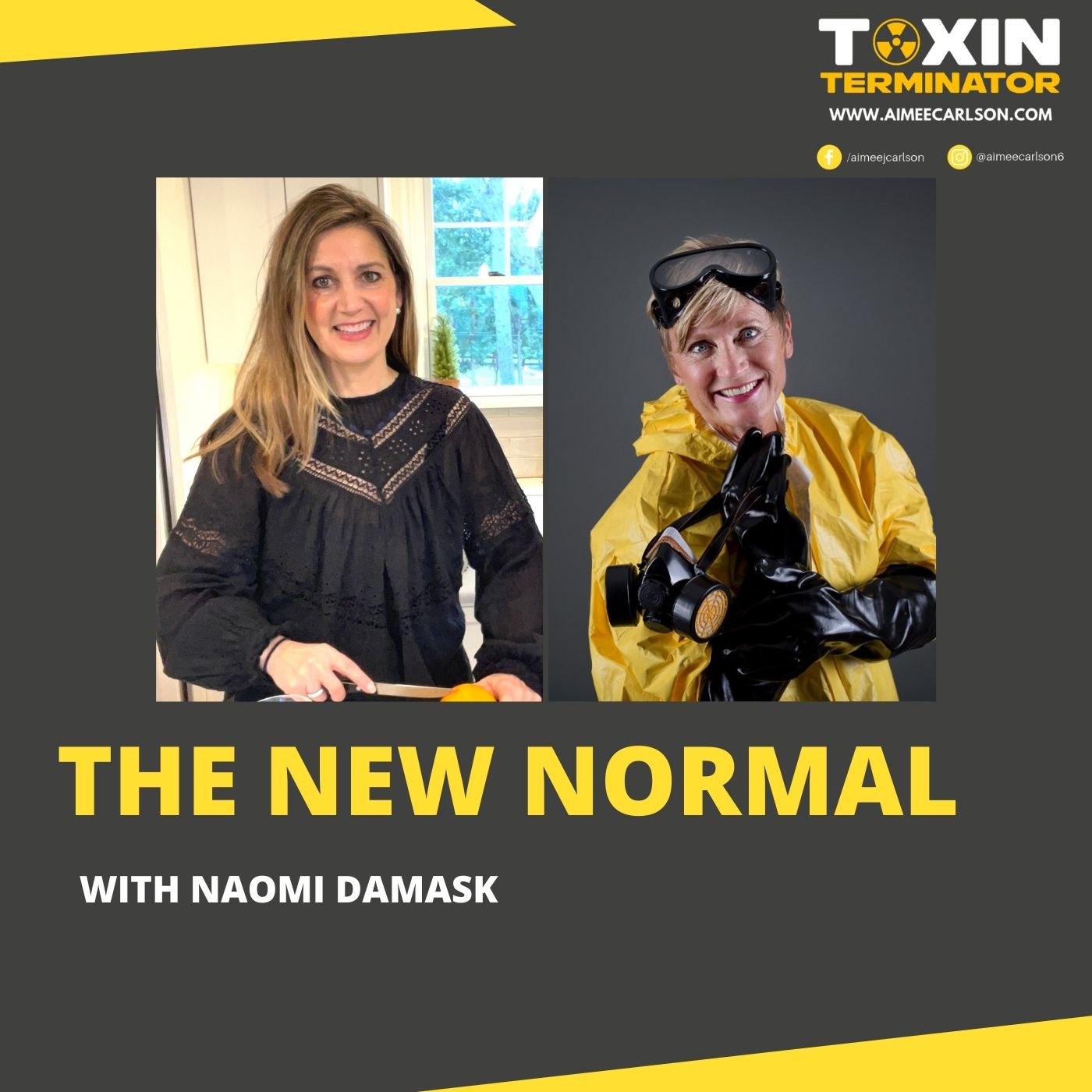 The New Normal with Aimee Carlson & Naomi Damask