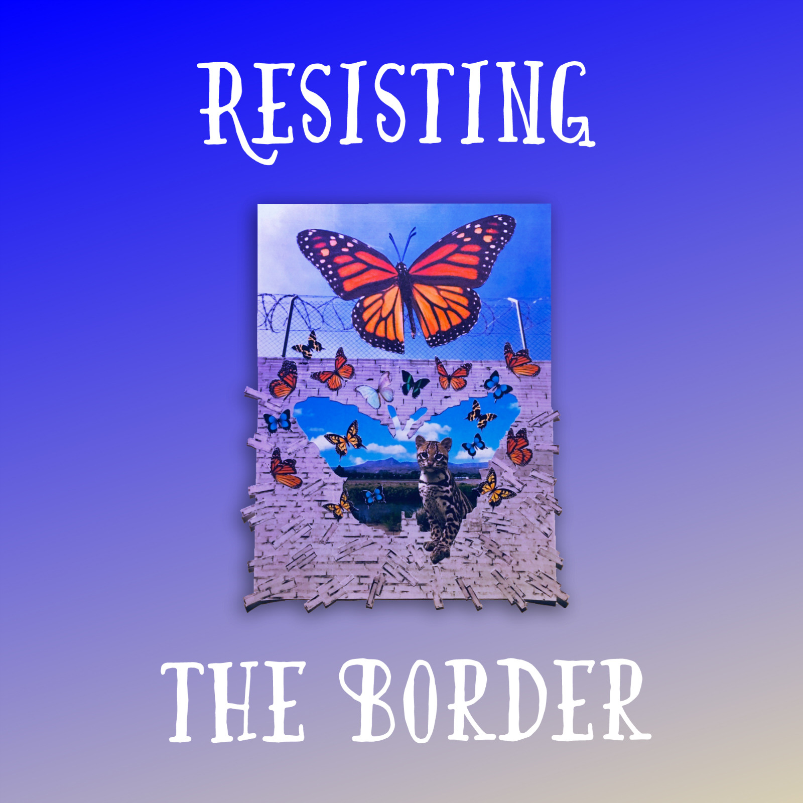 Resisting the Border